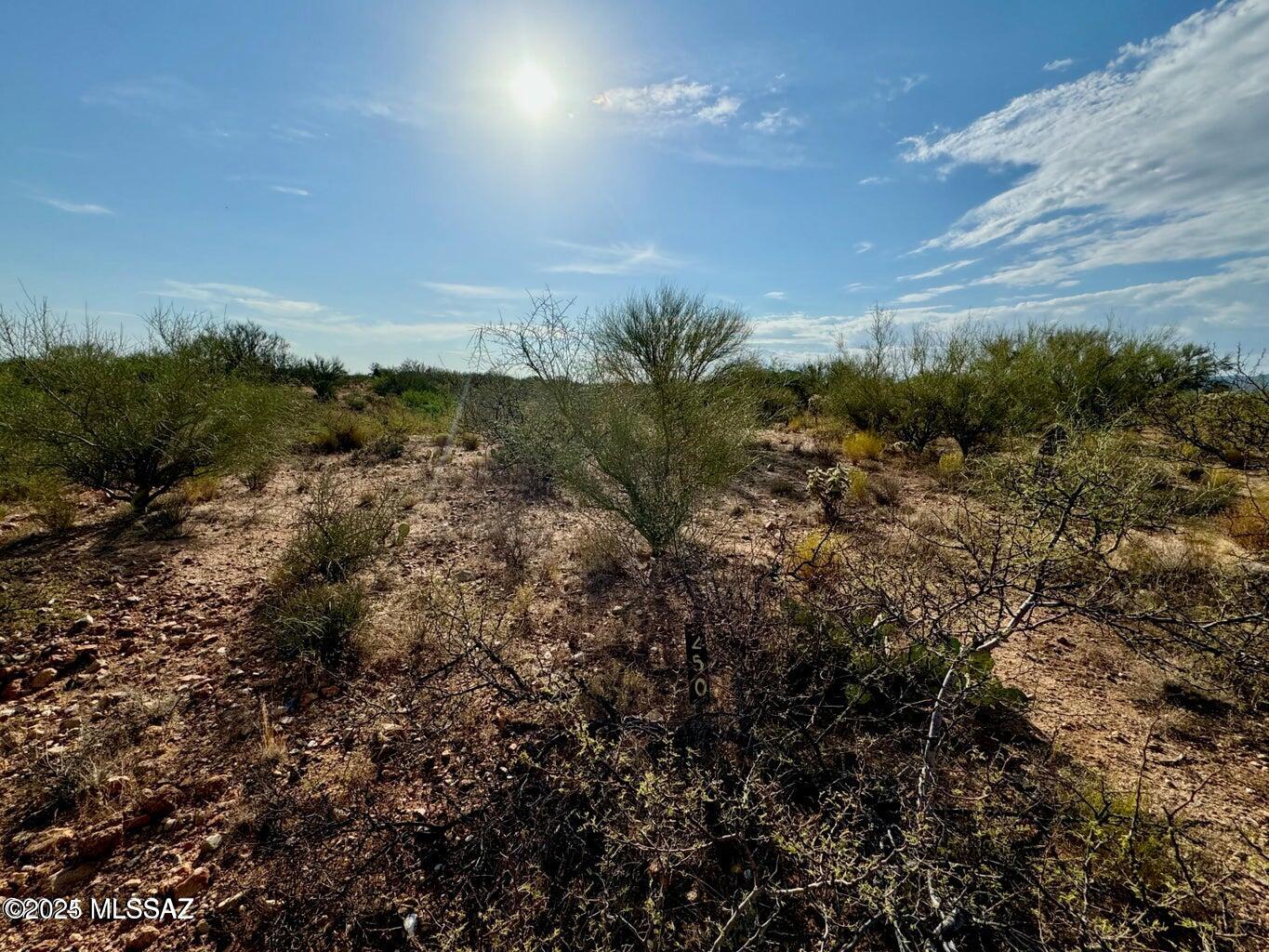 Diamond Bell Ranch - Tucson Unit 11 (1-448) - Land