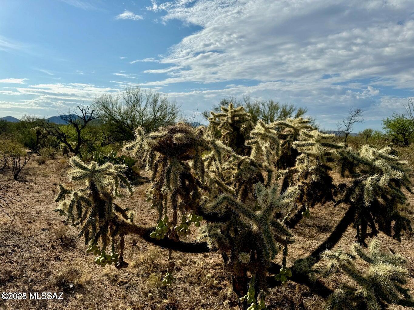 Diamond Bell Ranch - Tucson Unit 11 (1-448) - Land