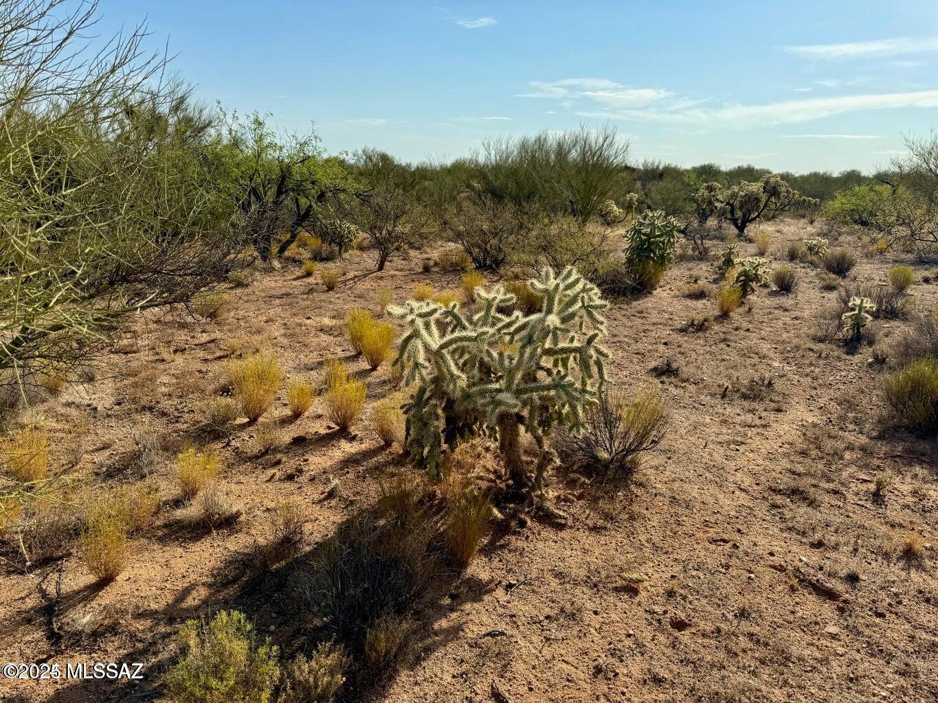 Diamond Bell Ranch - Tucson Unit 11 (1-448) - Land
