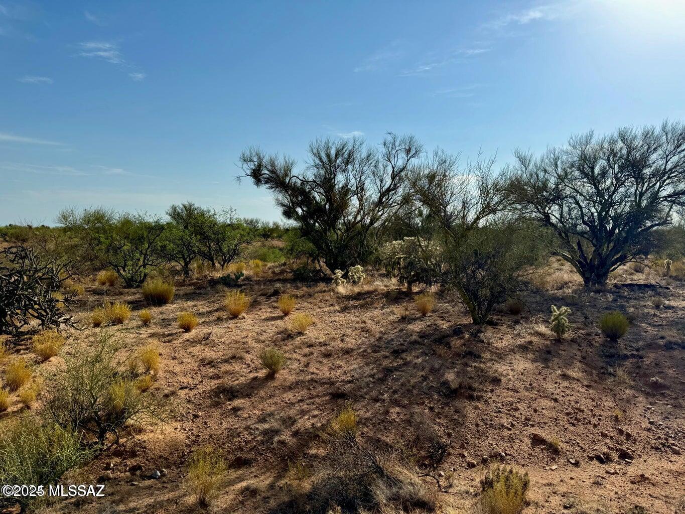 Diamond Bell Ranch - Tucson Unit 11 (1-448) - Land