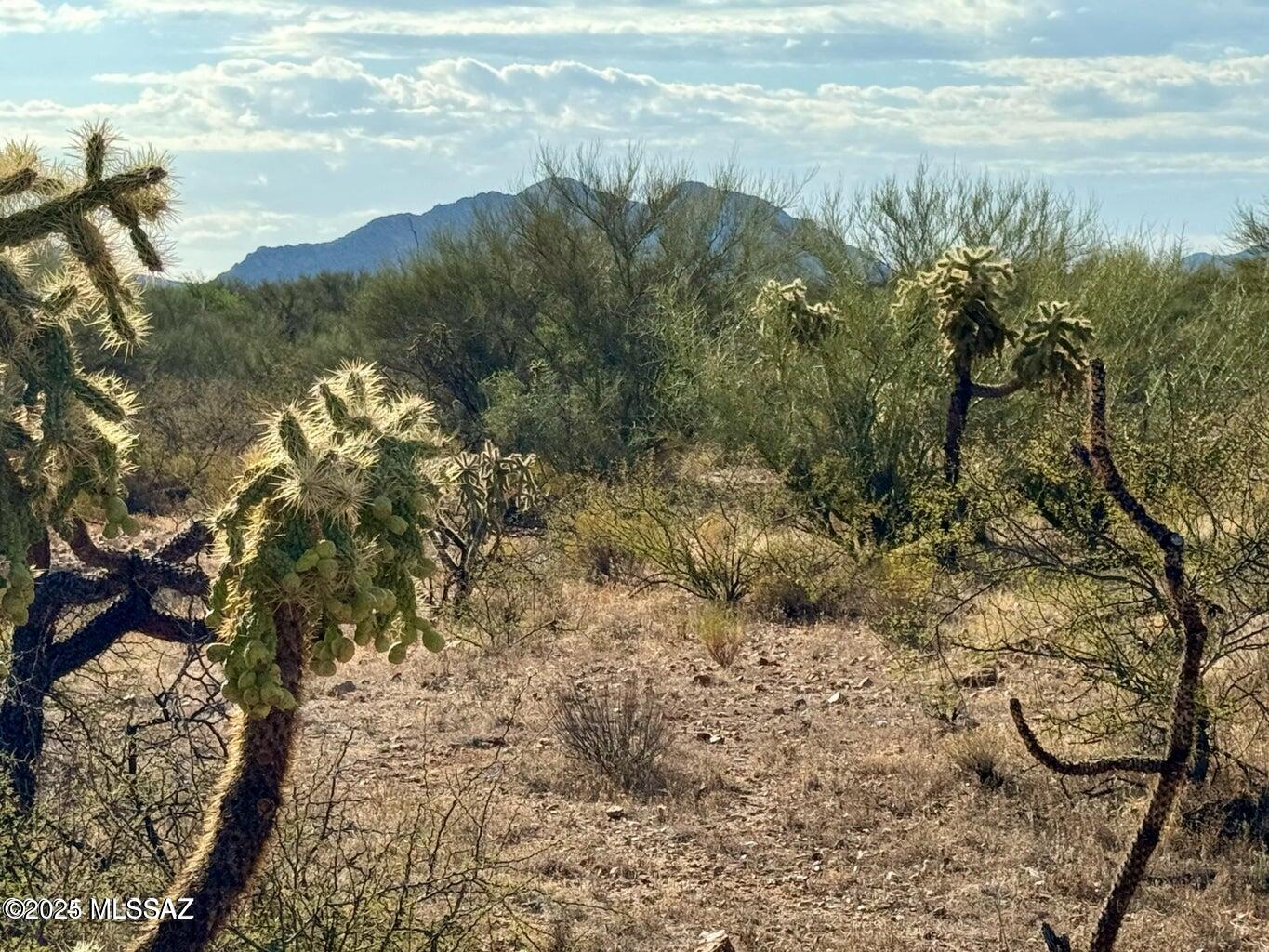 Diamond Bell Ranch - Tucson Unit 11 (1-448) - Land