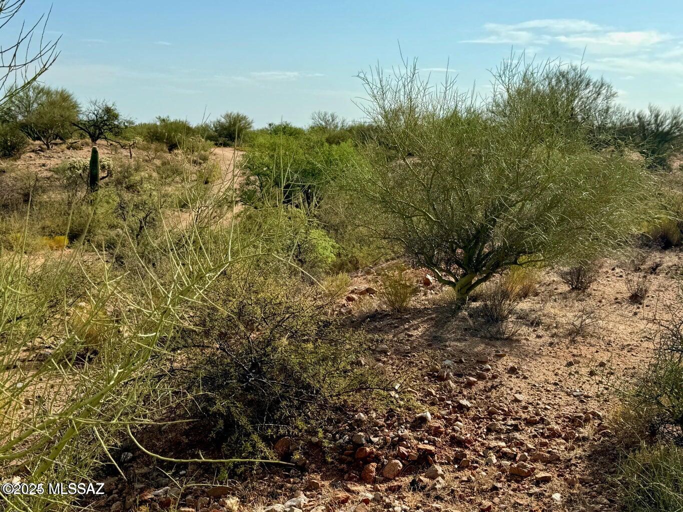 Diamond Bell Ranch - Tucson Unit 11 (1-448) - Land