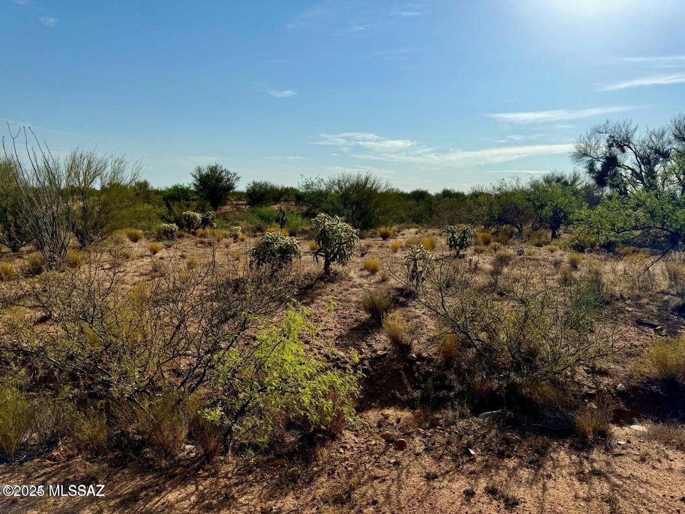 Diamond Bell Ranch - Tucson Unit 11 (1-448) - Land