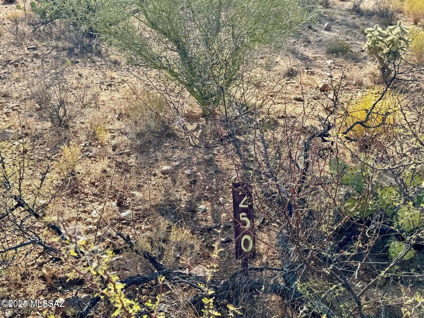 Diamond Bell Ranch - Tucson Unit 11 (1-448) - Land