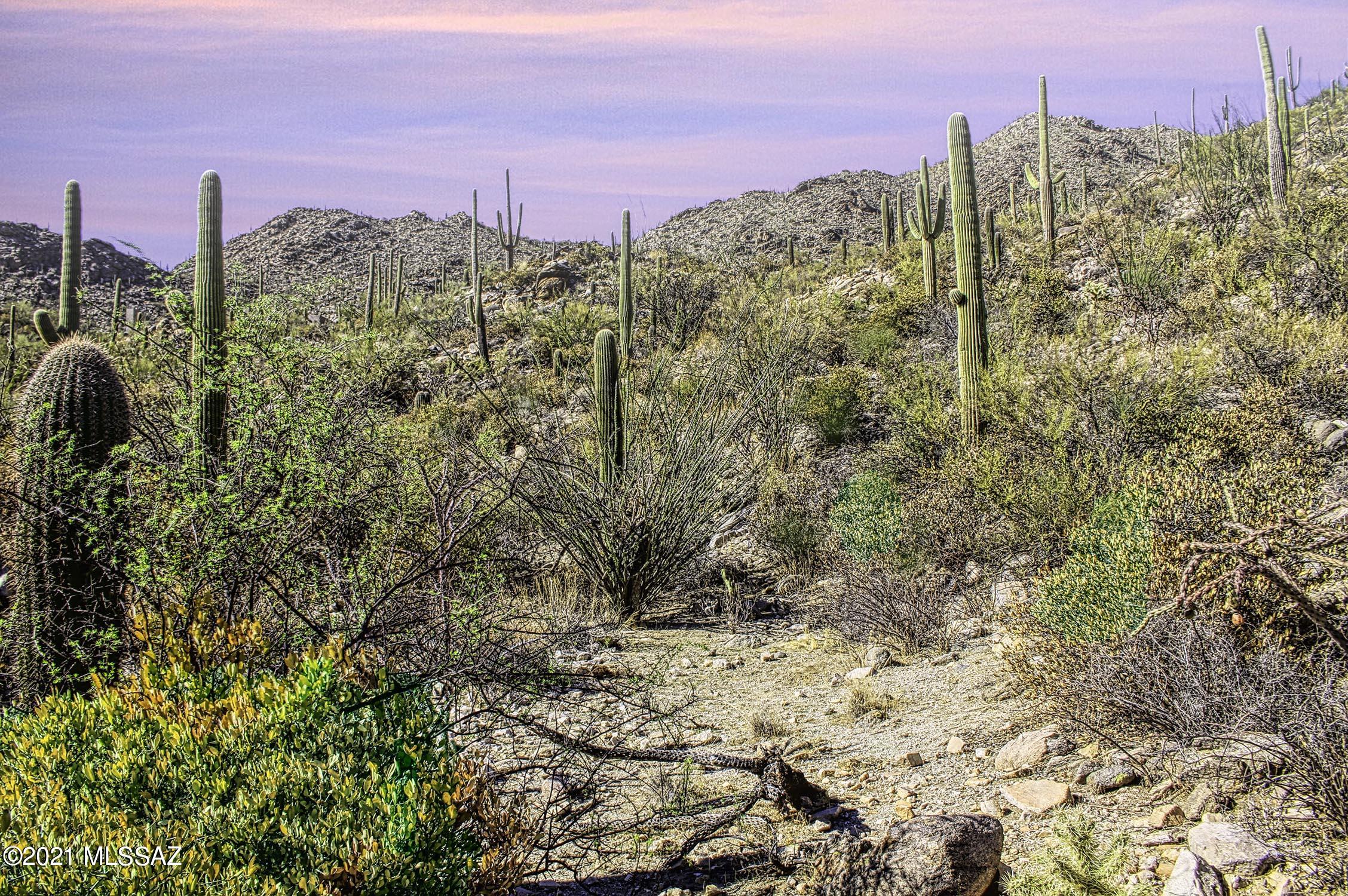 Canyon Pass II At Dove Mountain (49-110) - Land