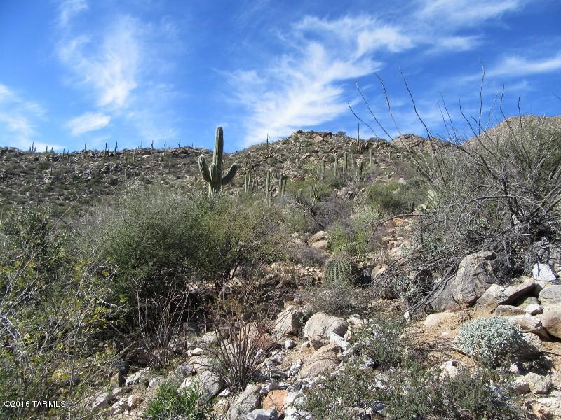Canyon Pass II At Dove Mountain (49-110) - Land
