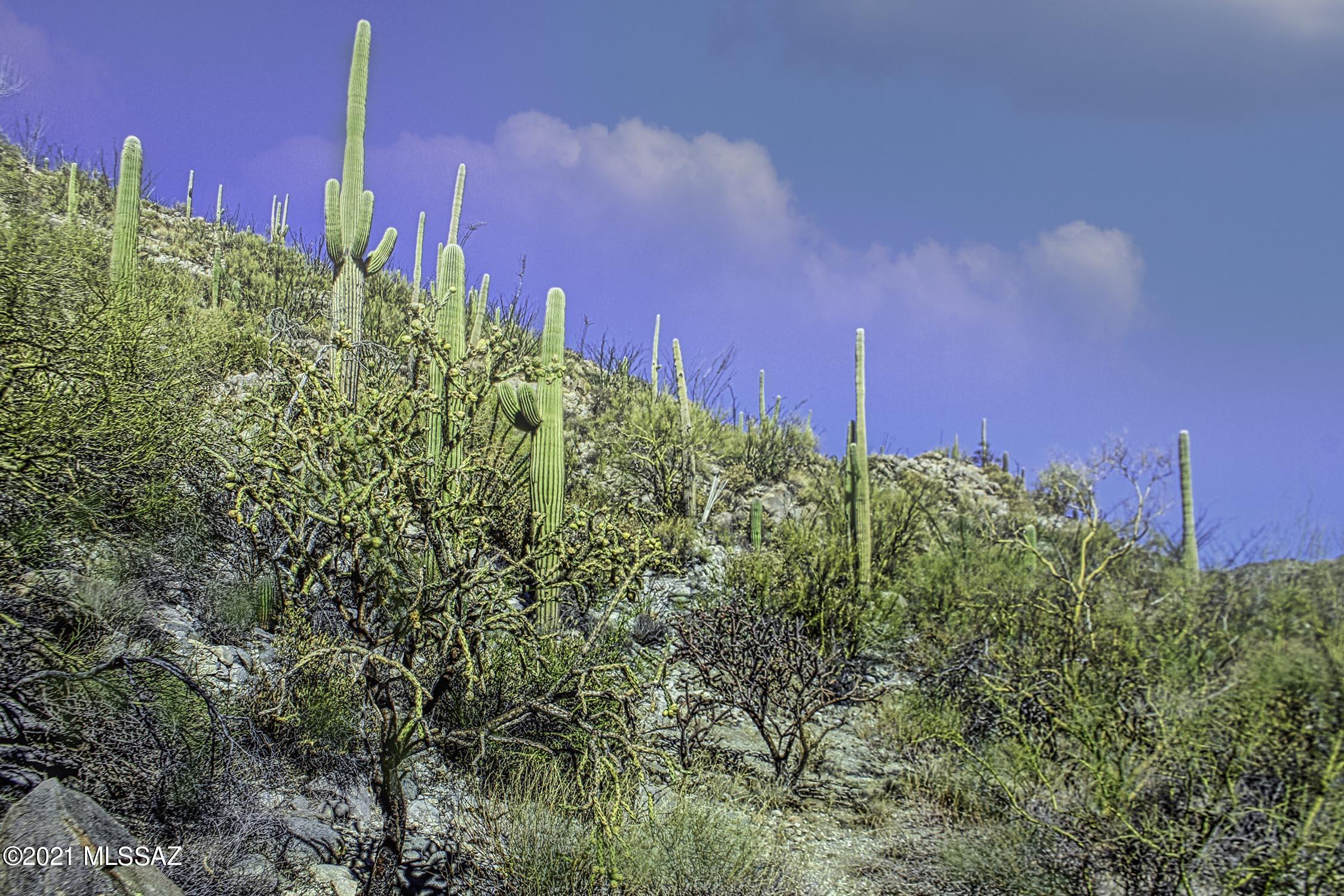 Canyon Pass II At Dove Mountain (49-110) - Land