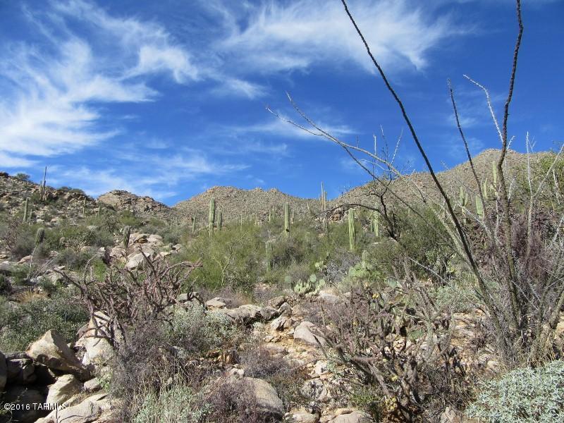Canyon Pass II At Dove Mountain (49-110) - Land