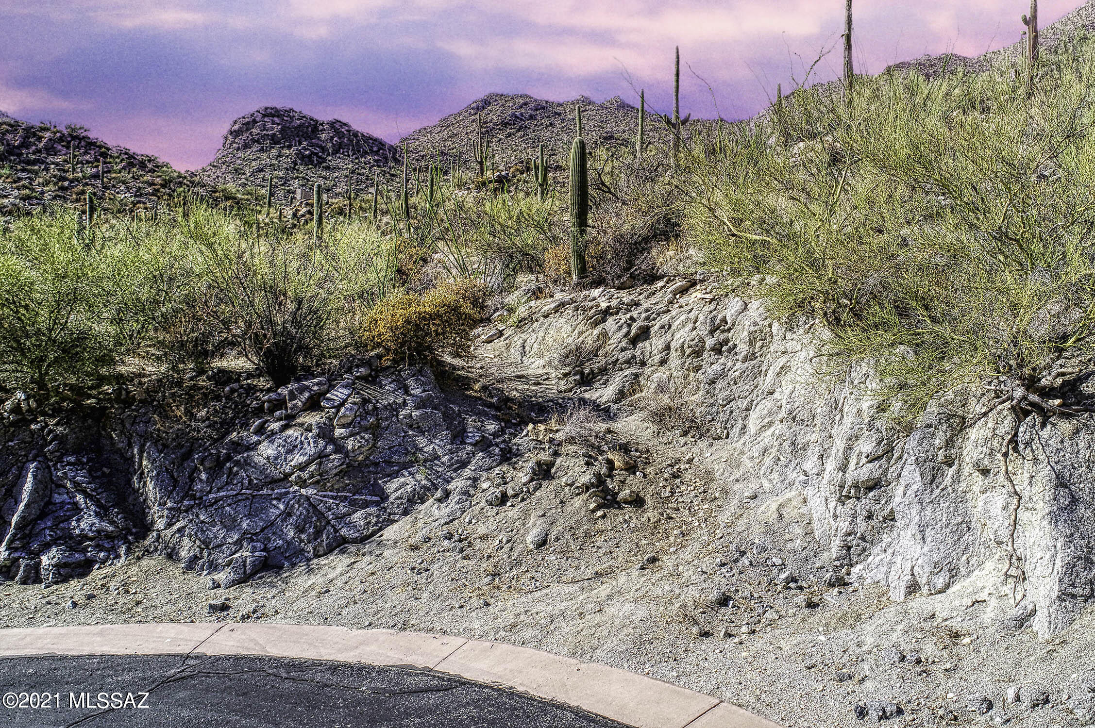Canyon Pass II At Dove Mountain (49-110) - Land