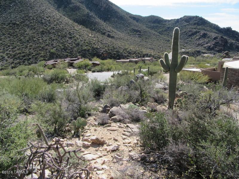Canyon Pass II At Dove Mountain (49-110) - Land
