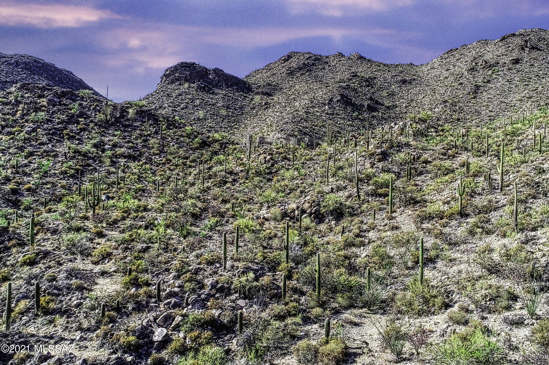 Canyon Pass II At Dove Mountain (49-110) - Land