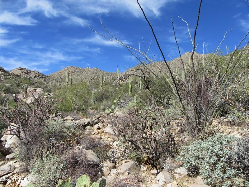Canyon Pass II At Dove Mountain (49-110) - Land