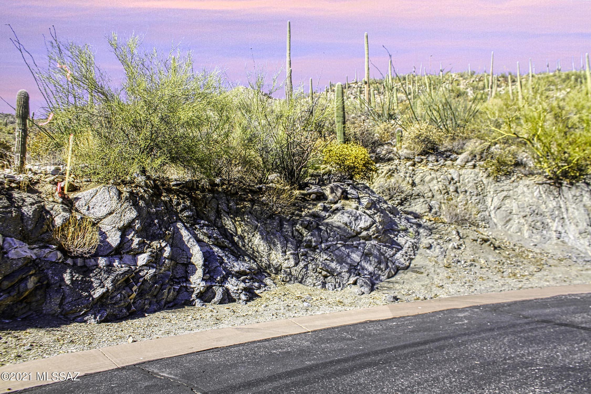 Canyon Pass II At Dove Mountain (49-110) - Land