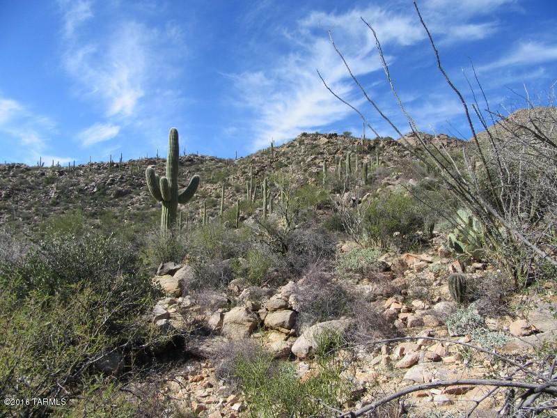 Canyon Pass II At Dove Mountain (49-110) - Land