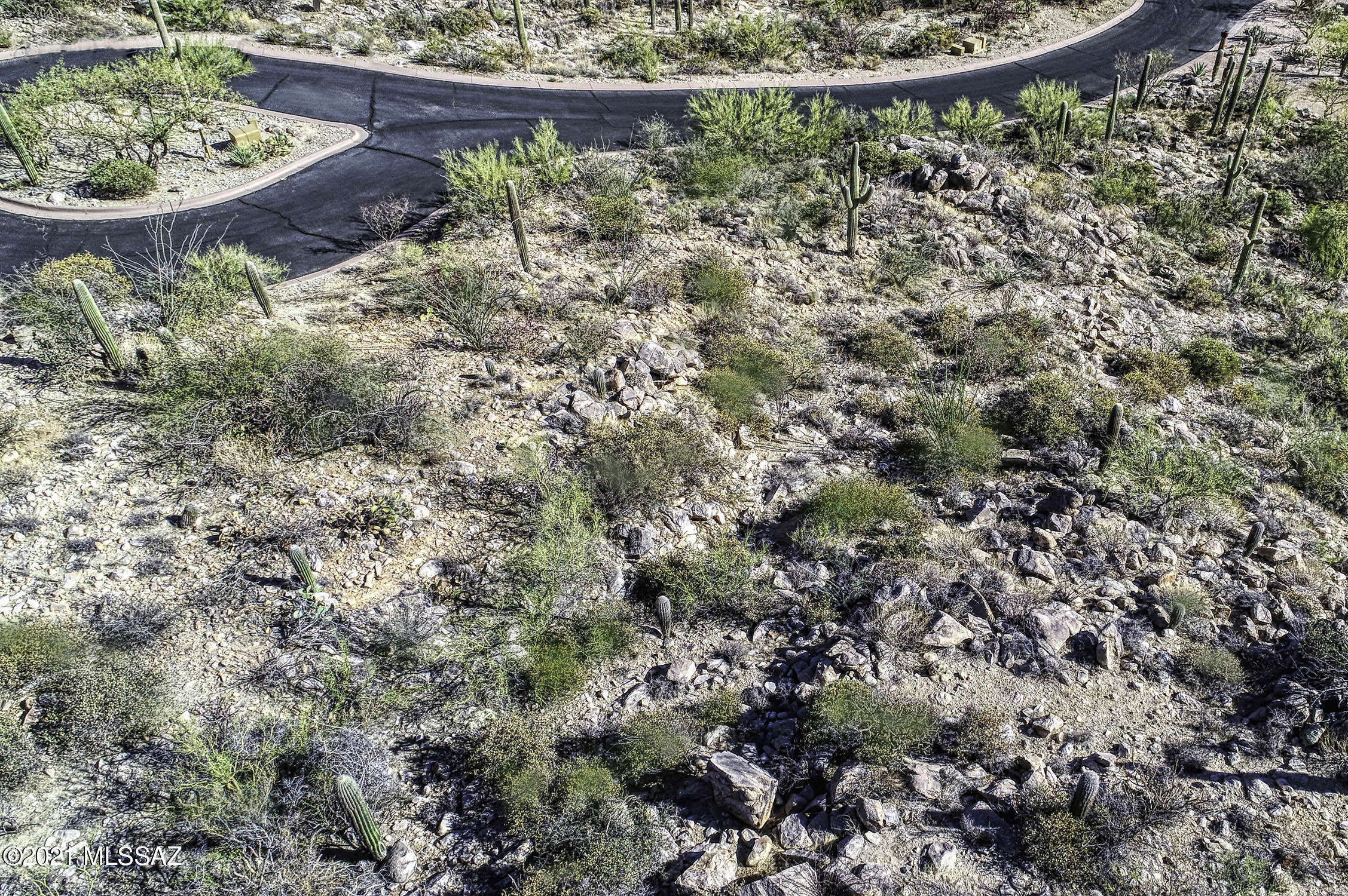 Canyon Pass II At Dove Mountain (49-110) - Land