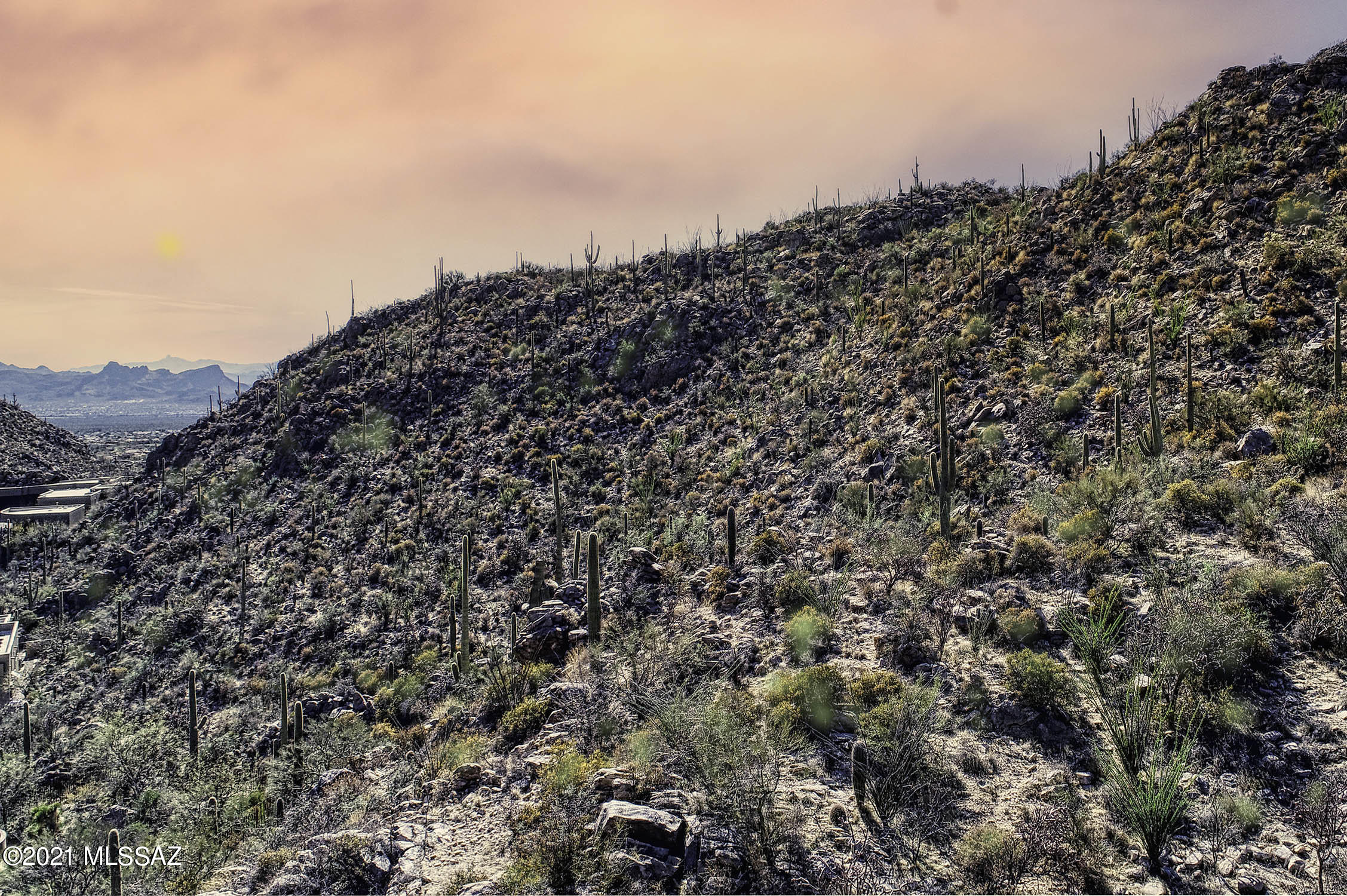 Canyon Pass II At Dove Mountain (49-110) - Land