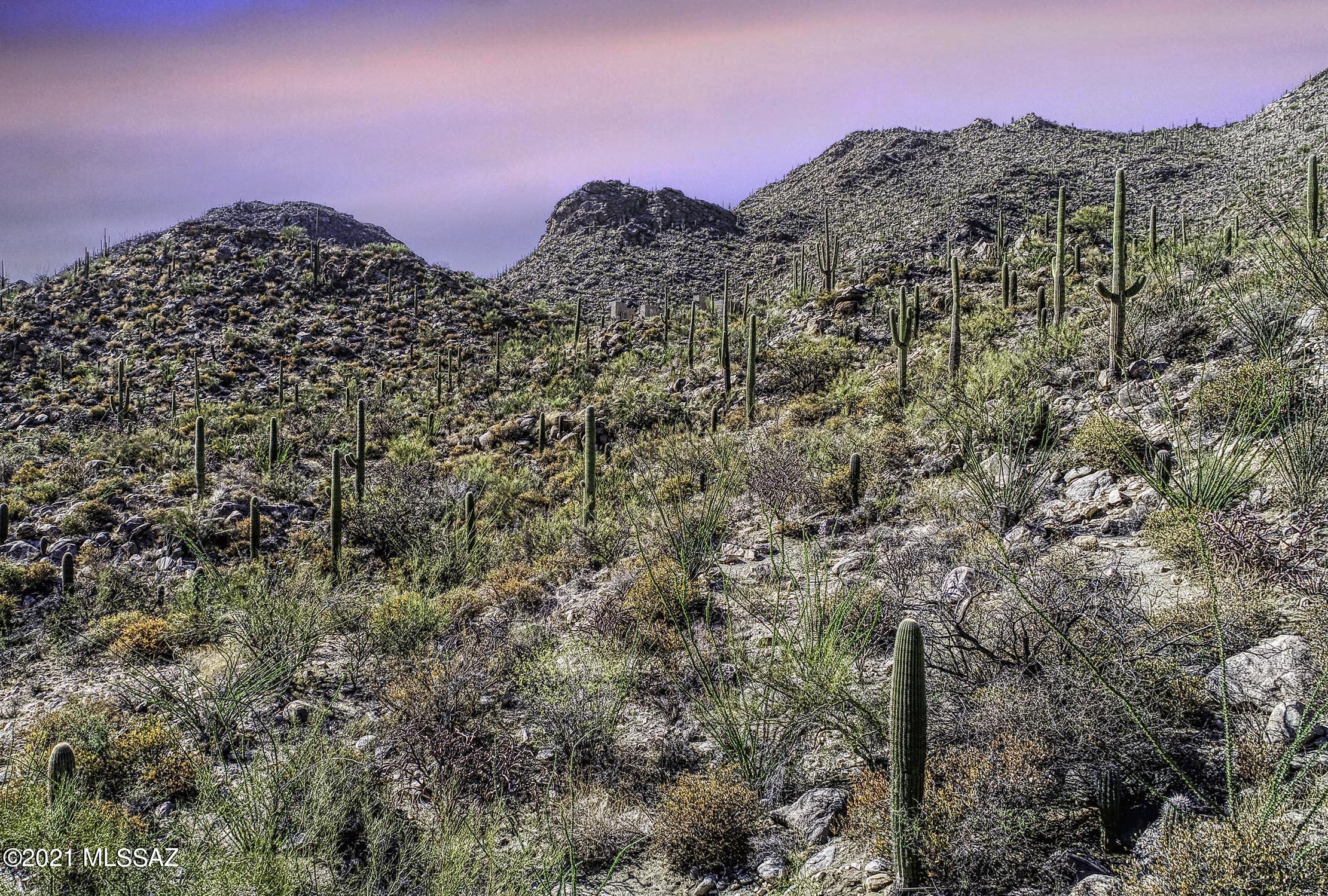 Canyon Pass II At Dove Mountain (49-110) - Land