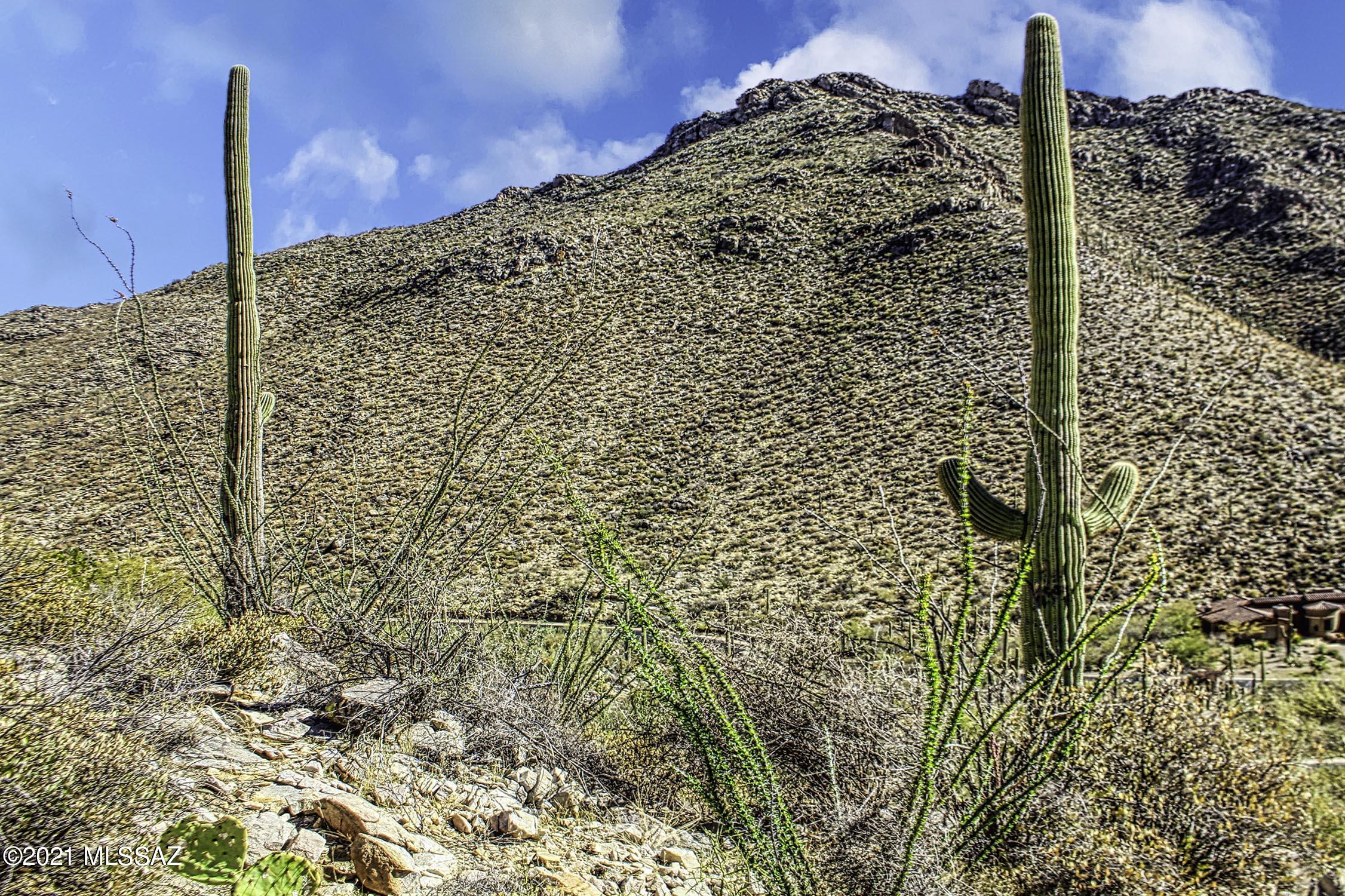 Canyon Pass II At Dove Mountain (49-110) - Land