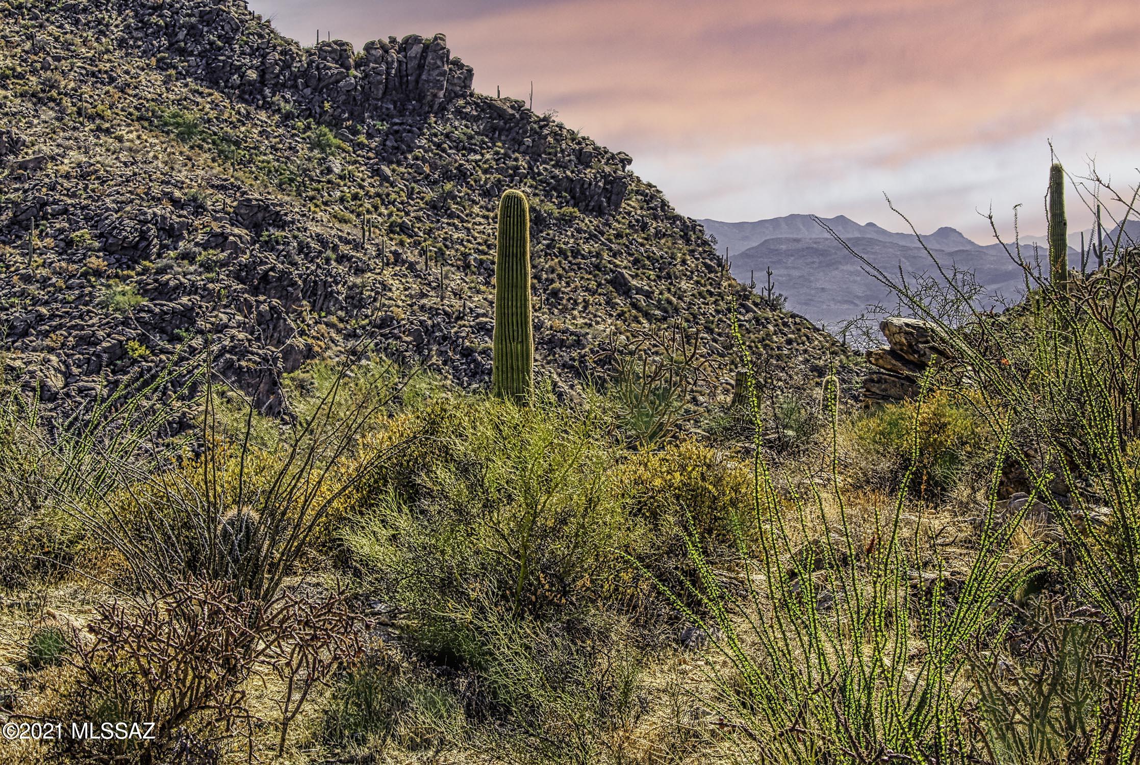 Canyon Pass II At Dove Mountain (49-110) - Land