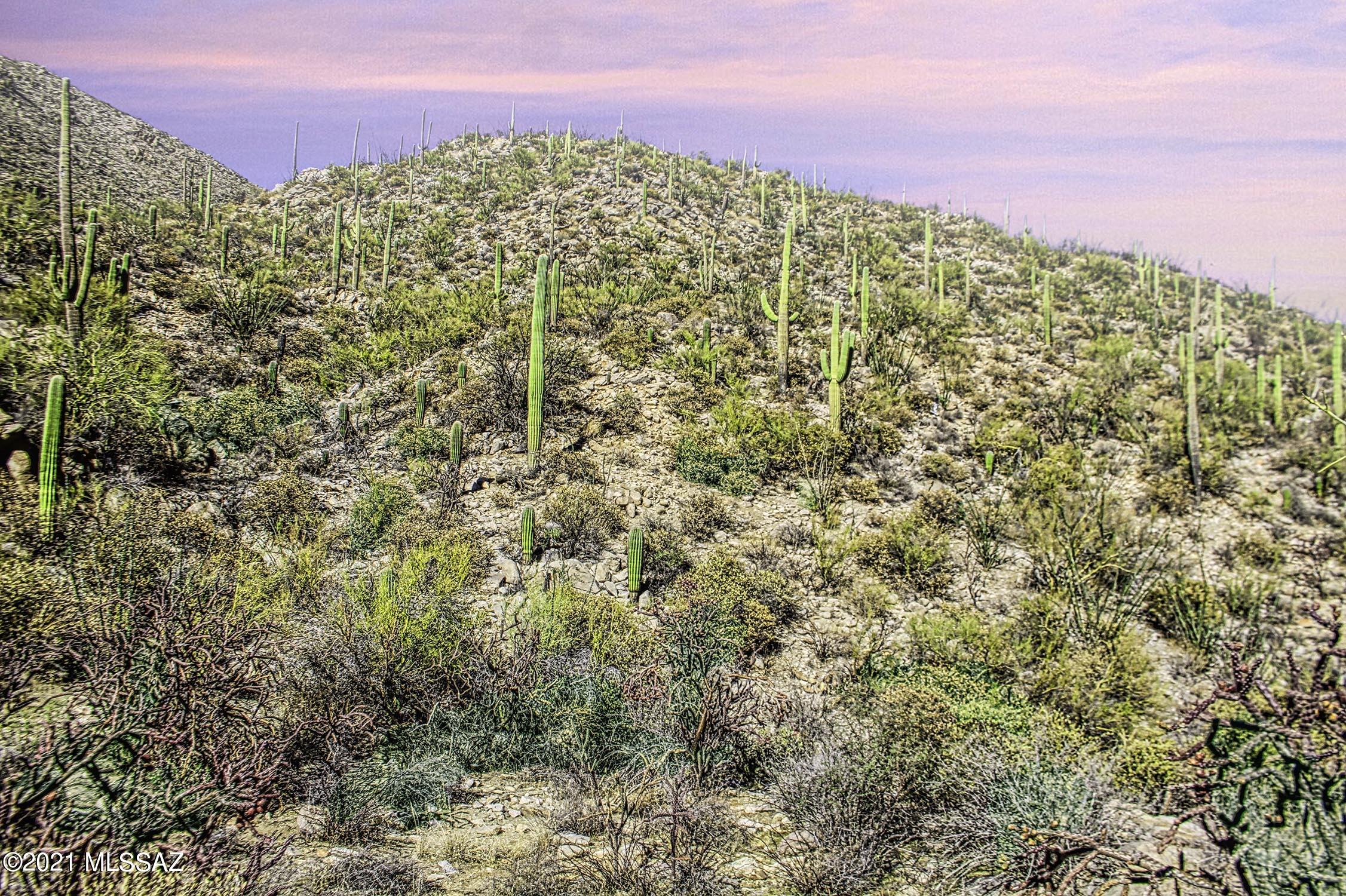 Canyon Pass II At Dove Mountain (49-110) - Land