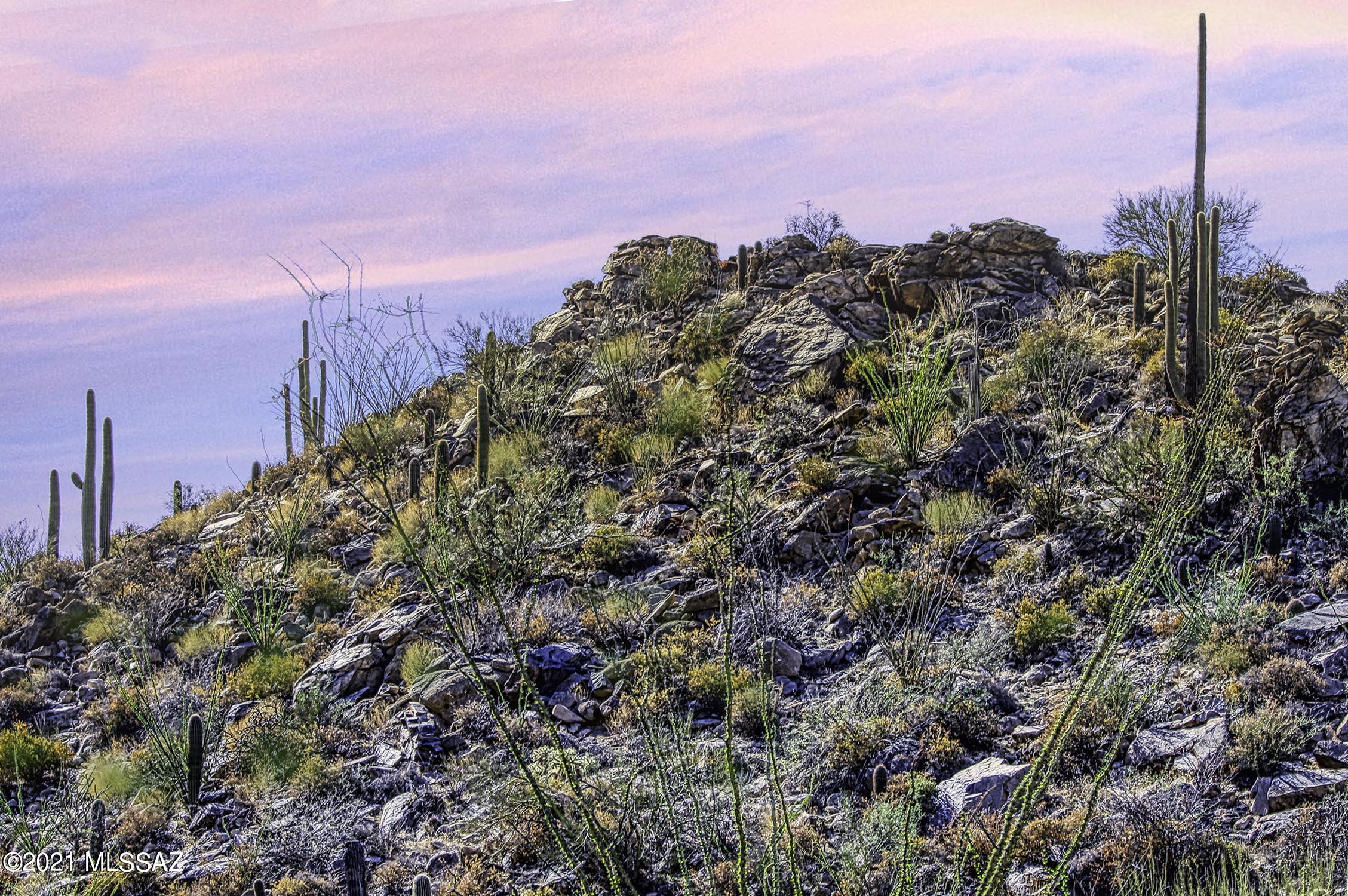 Canyon Pass II At Dove Mountain (49-110) - Land