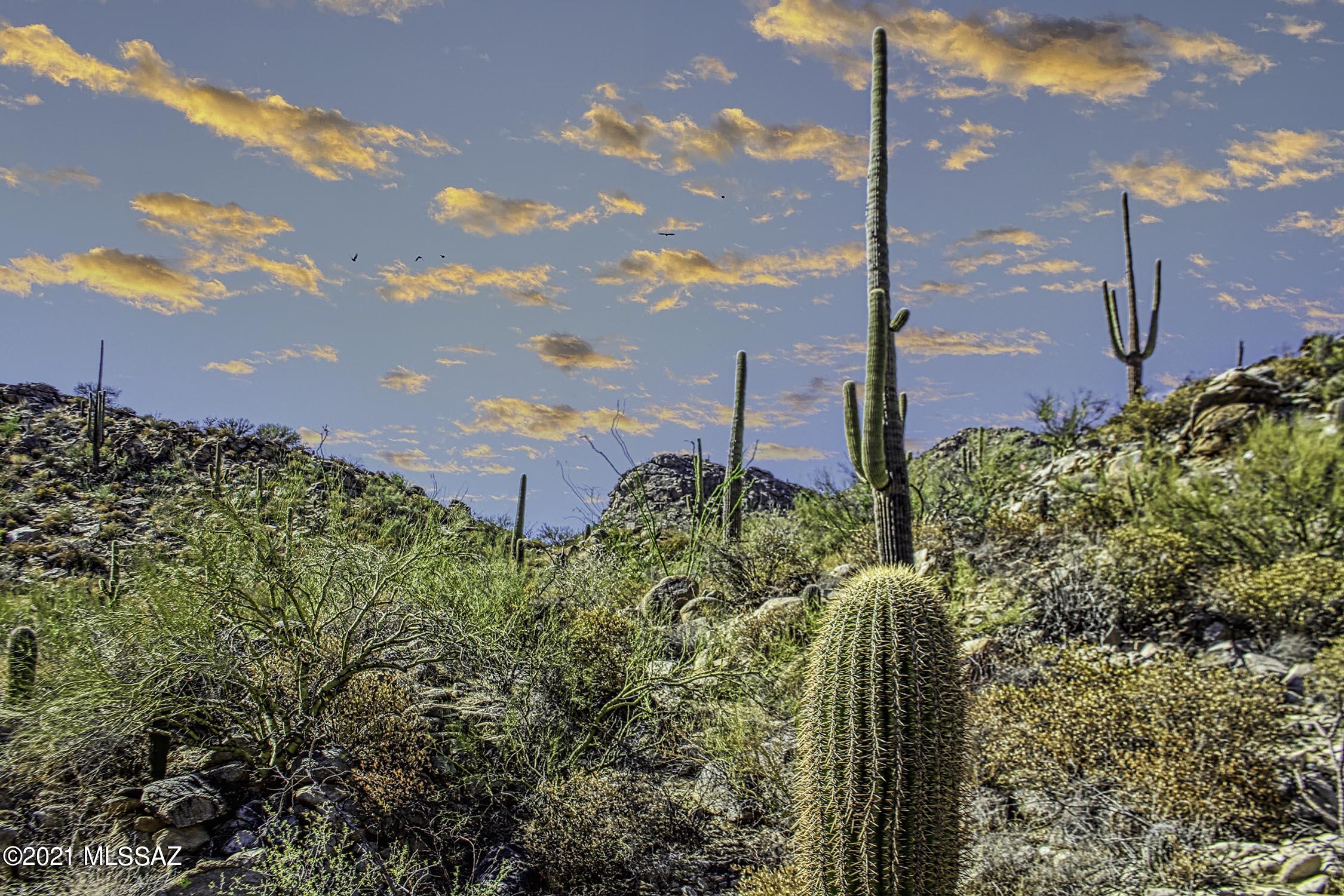 Canyon Pass II At Dove Mountain (49-110) - Land
