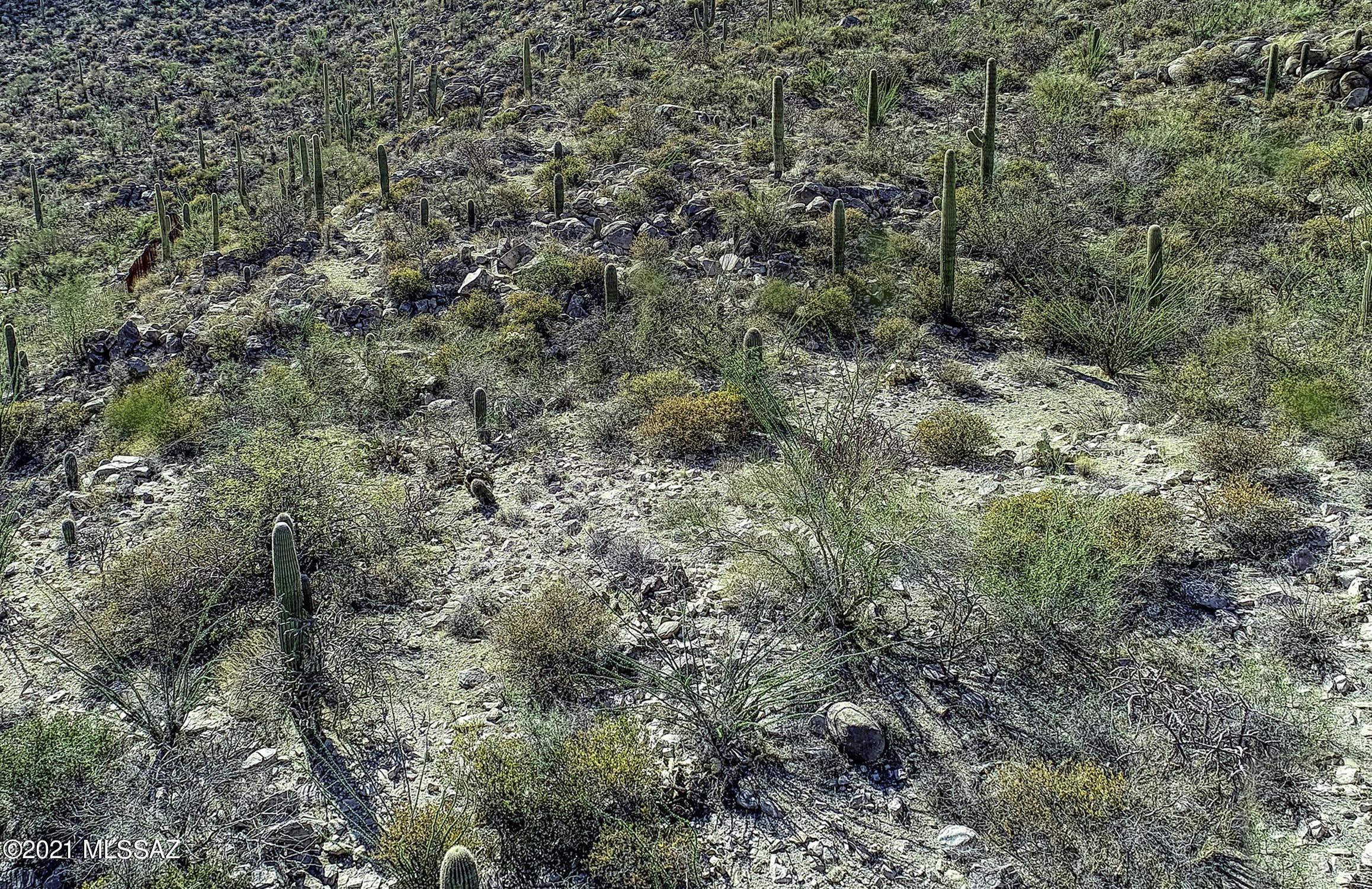 Canyon Pass II At Dove Mountain (49-110) - Land