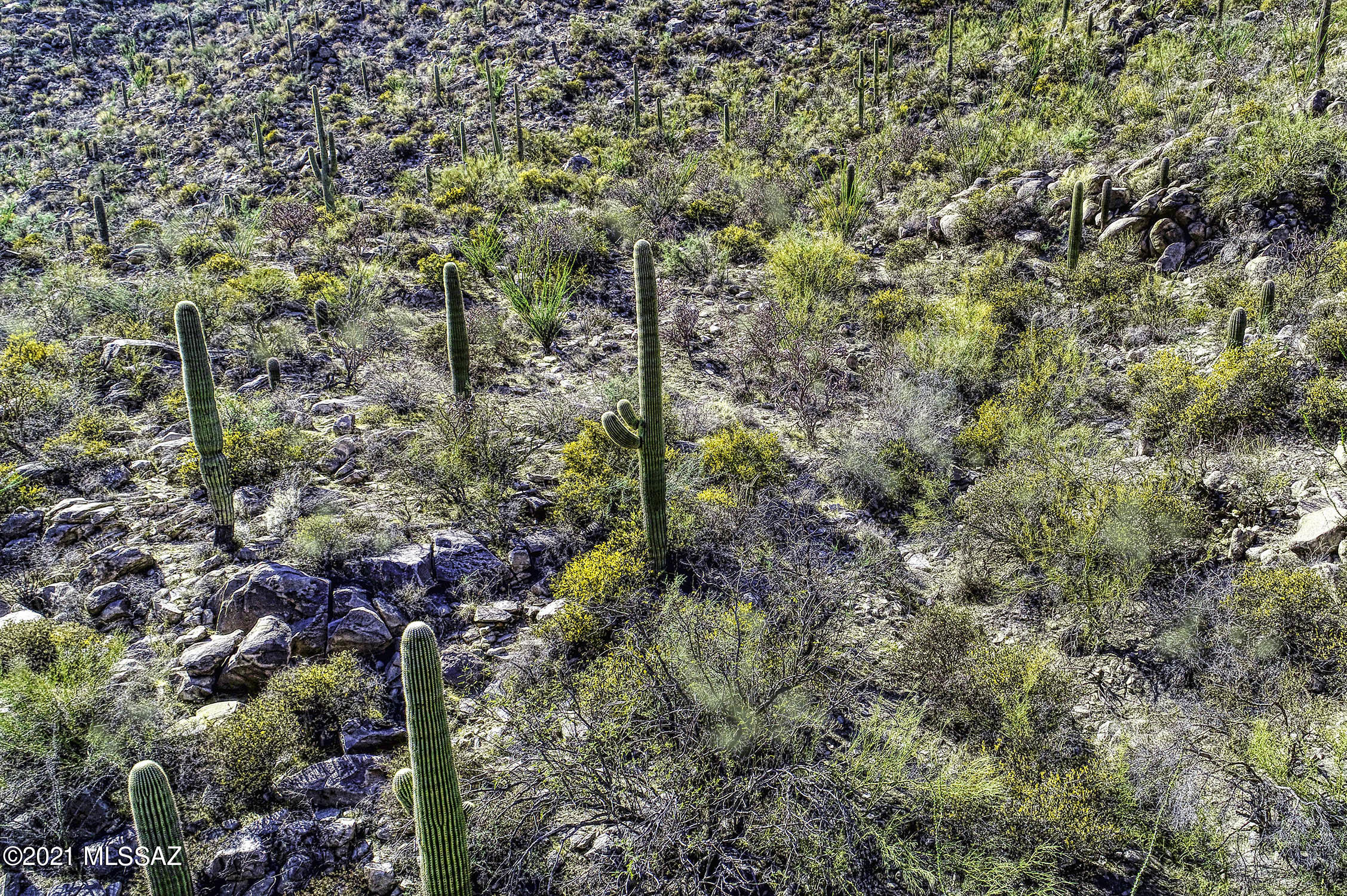 Canyon Pass II At Dove Mountain (49-110) - Land