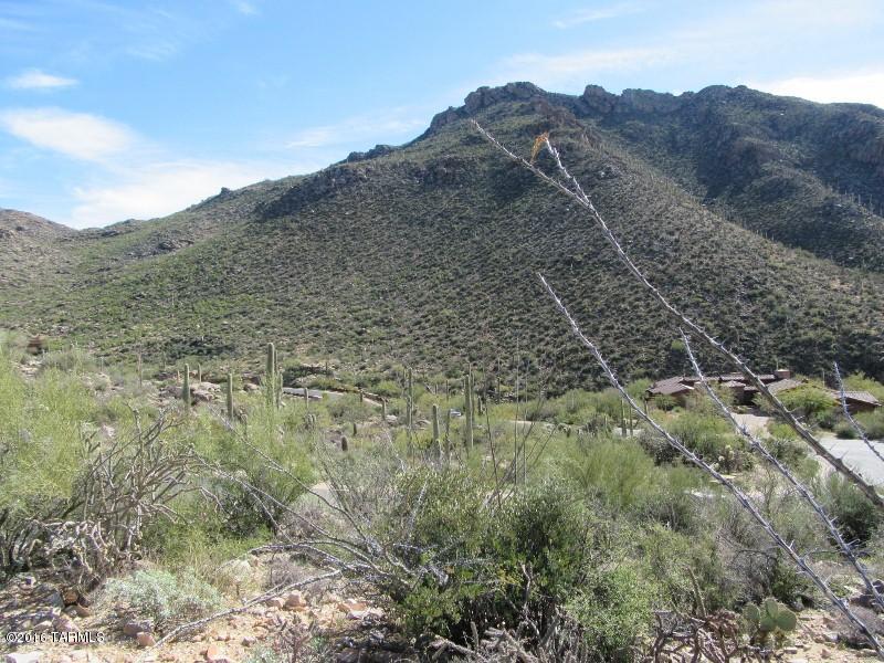 Canyon Pass II At Dove Mountain (49-110) - Land