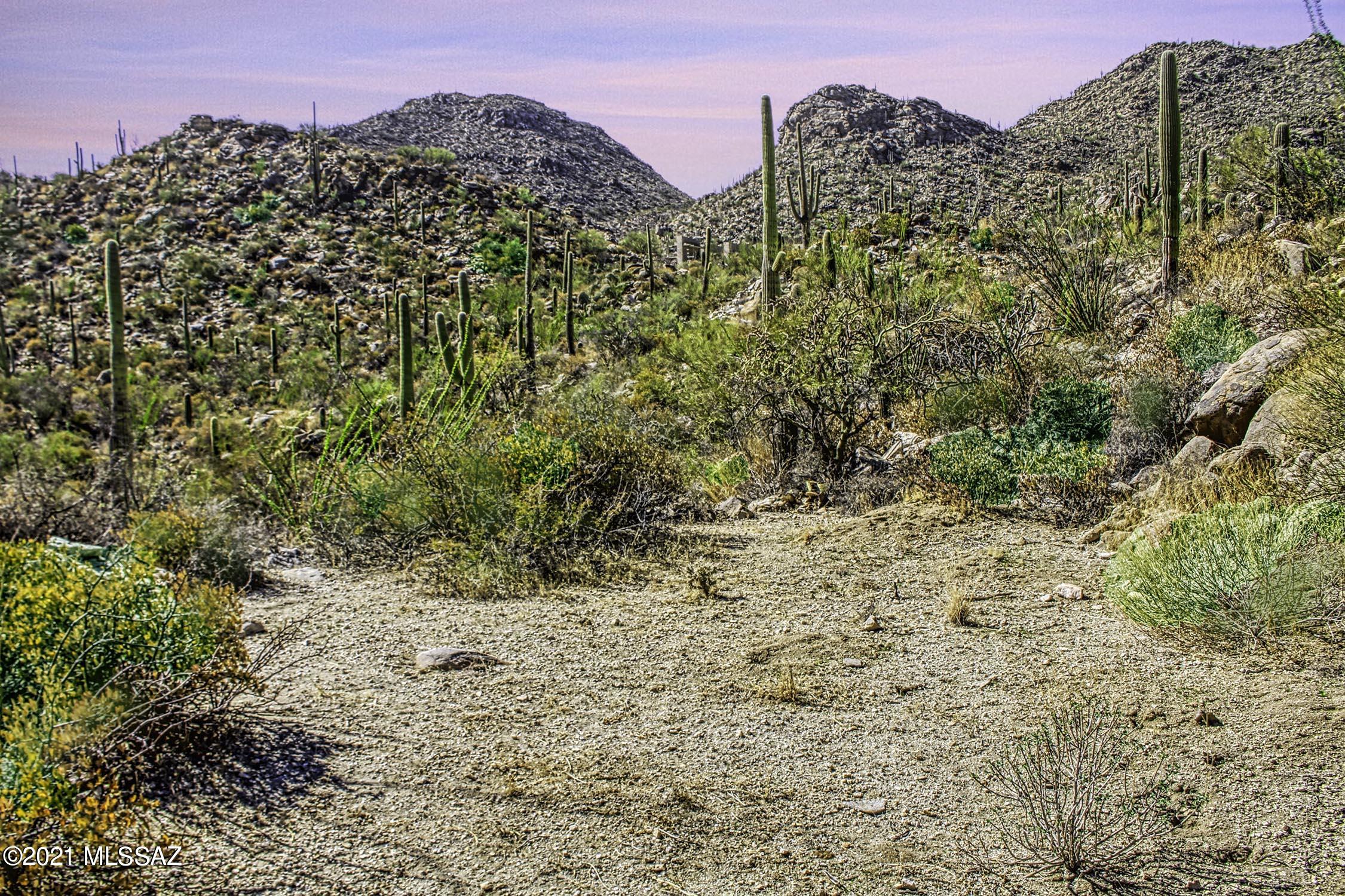 Canyon Pass II At Dove Mountain (49-110) - Land