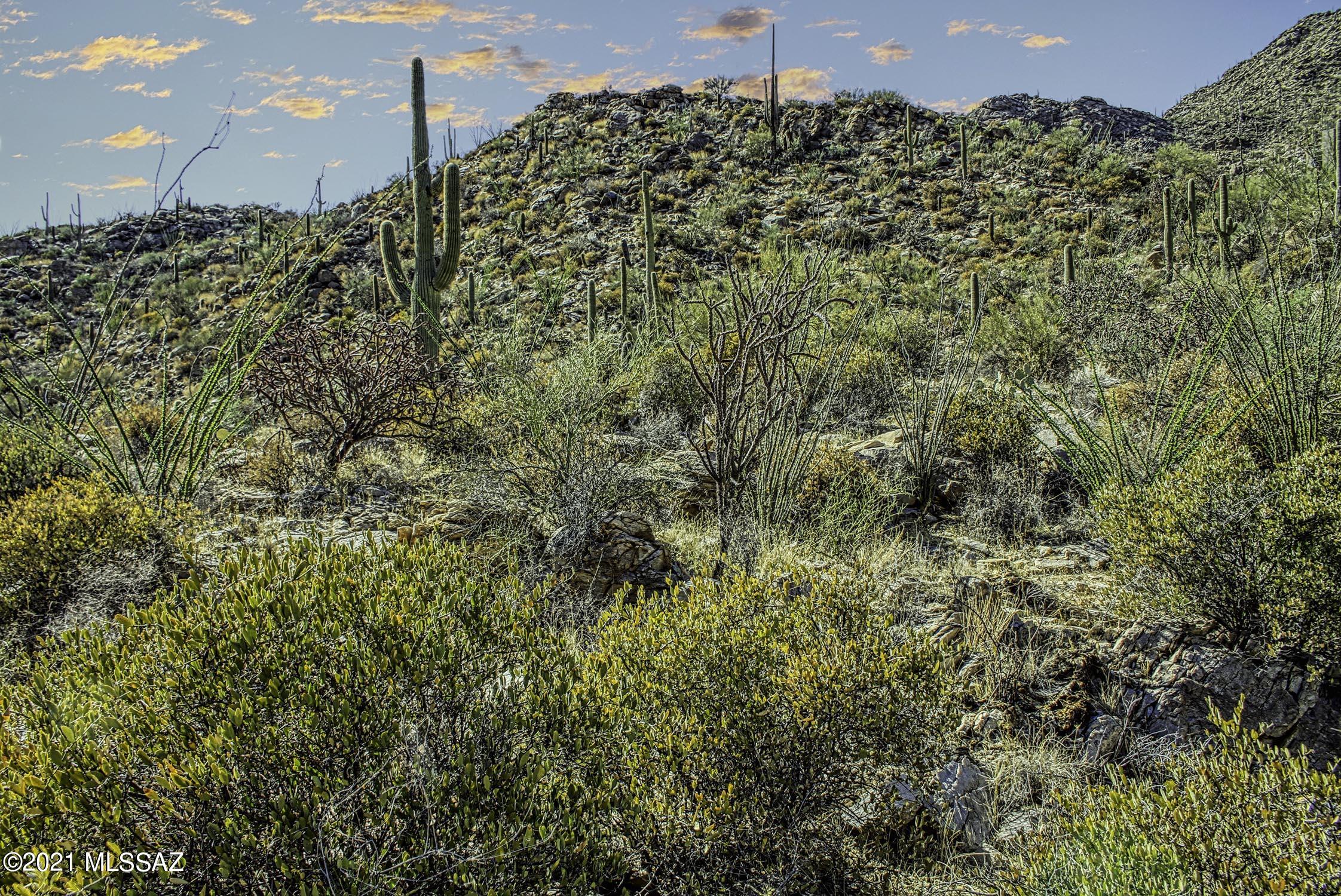 Canyon Pass II At Dove Mountain (49-110) - Land