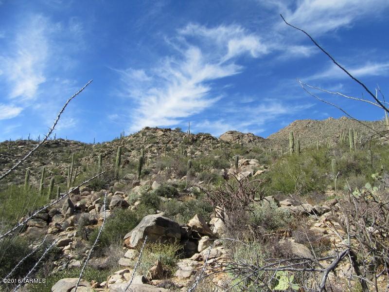 Canyon Pass II At Dove Mountain (49-110) - Land