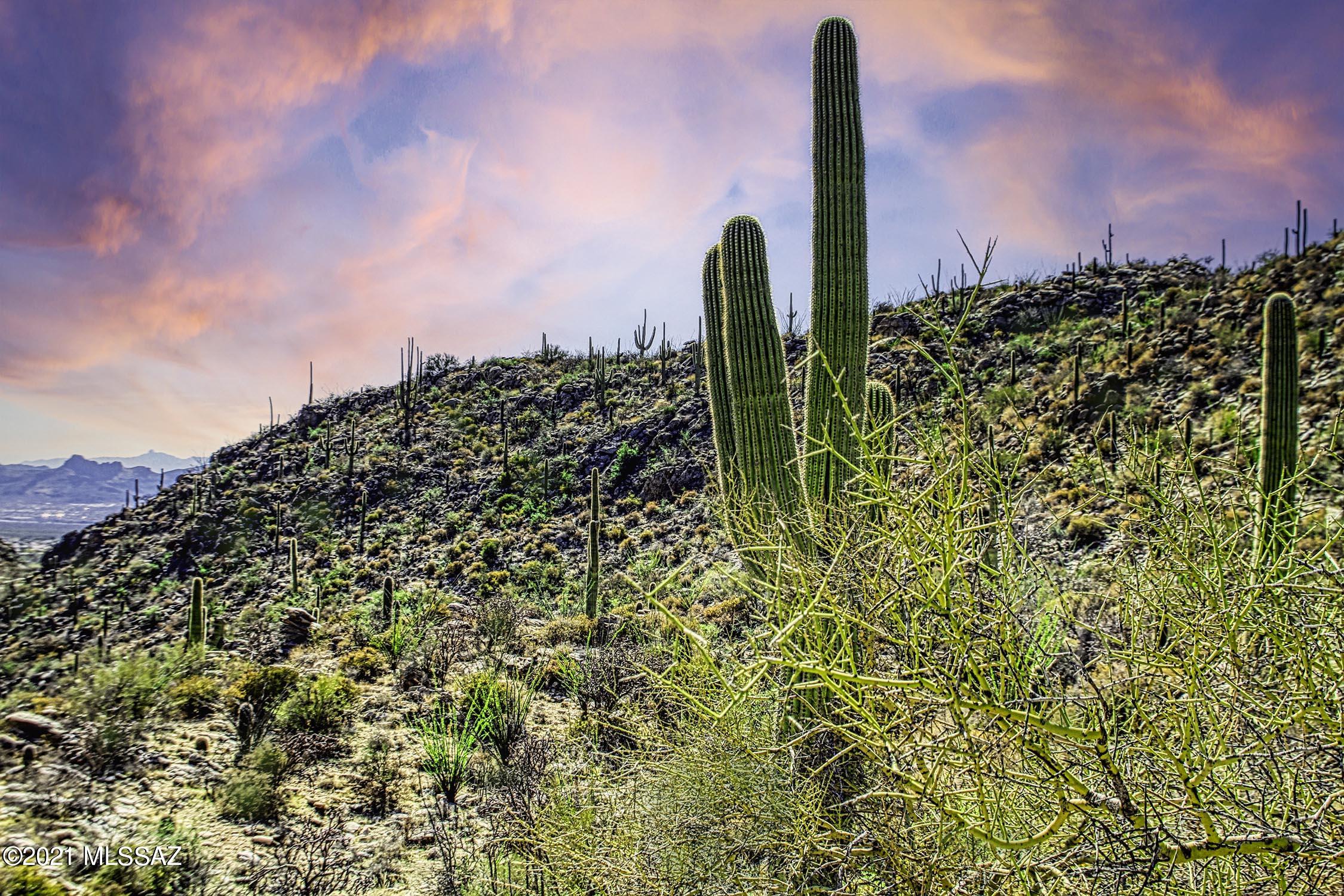 Canyon Pass II At Dove Mountain (49-110) - Land