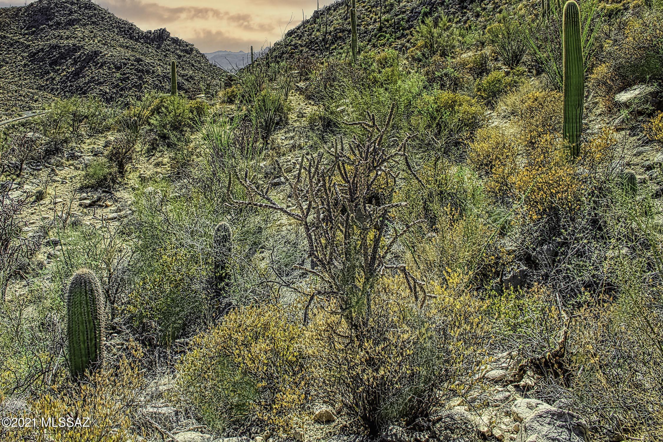 Canyon Pass II At Dove Mountain (49-110) - Land