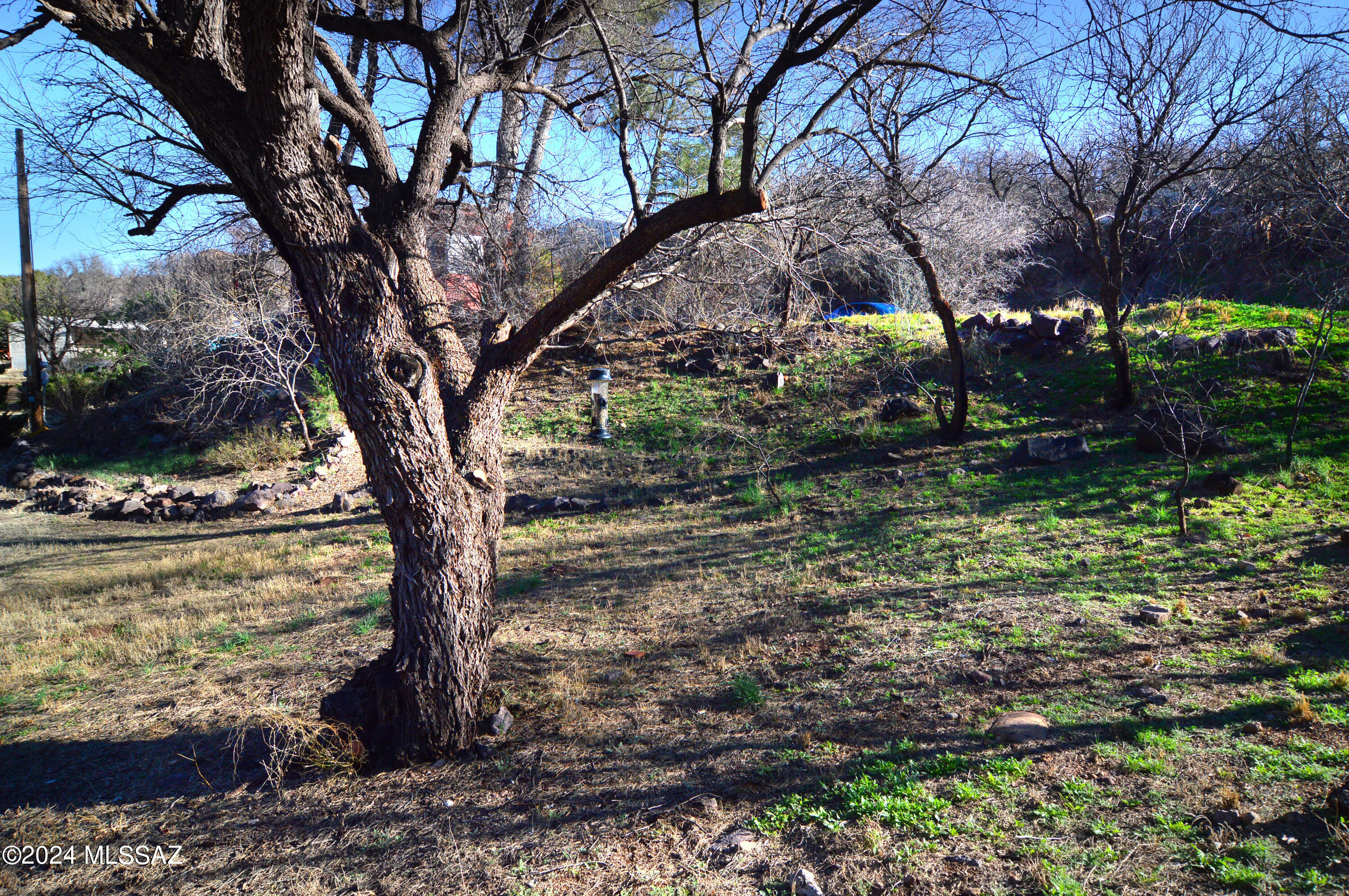 Patagonia Townsite - Residential