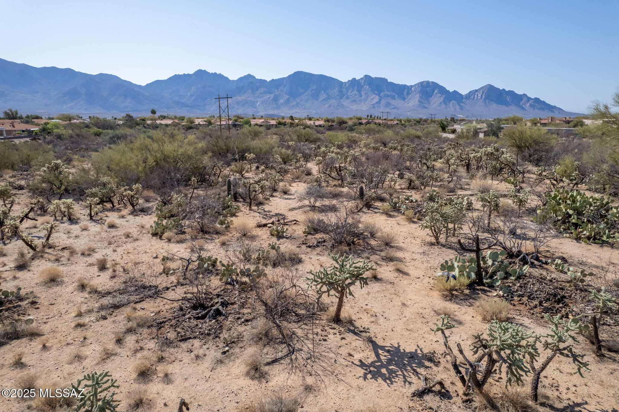 Honey Bee Ridge(The Estates At) - Land