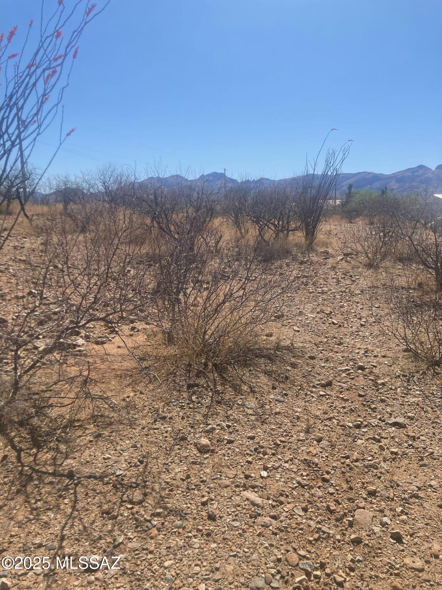 Rio Rico Estates 16 - Land