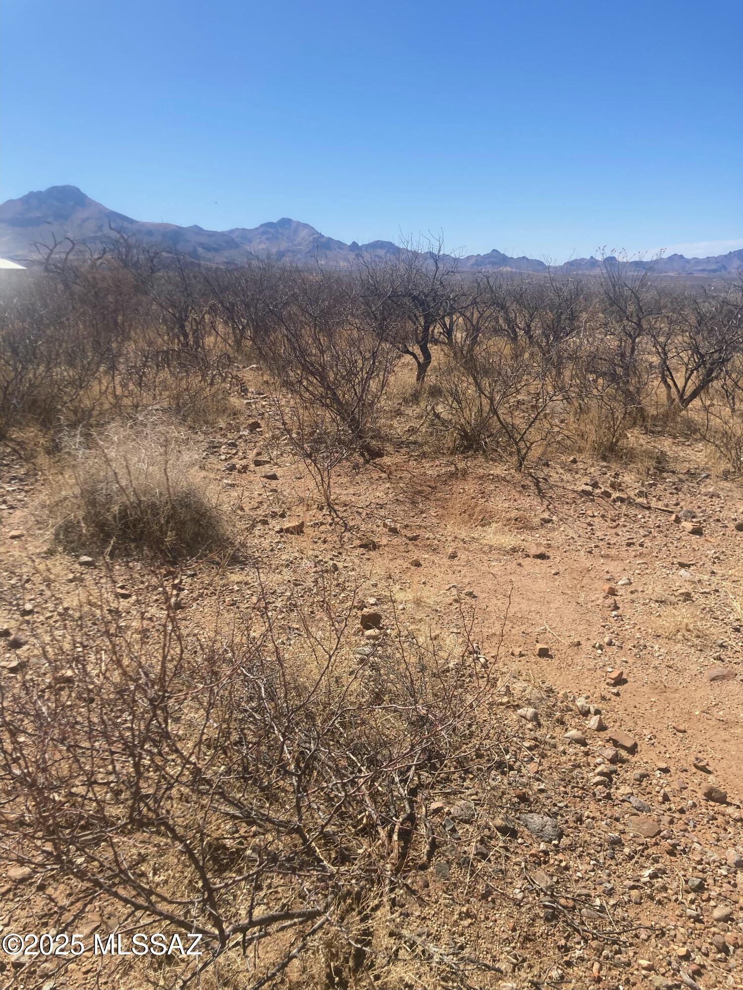 Rio Rico Estates 16 - Land