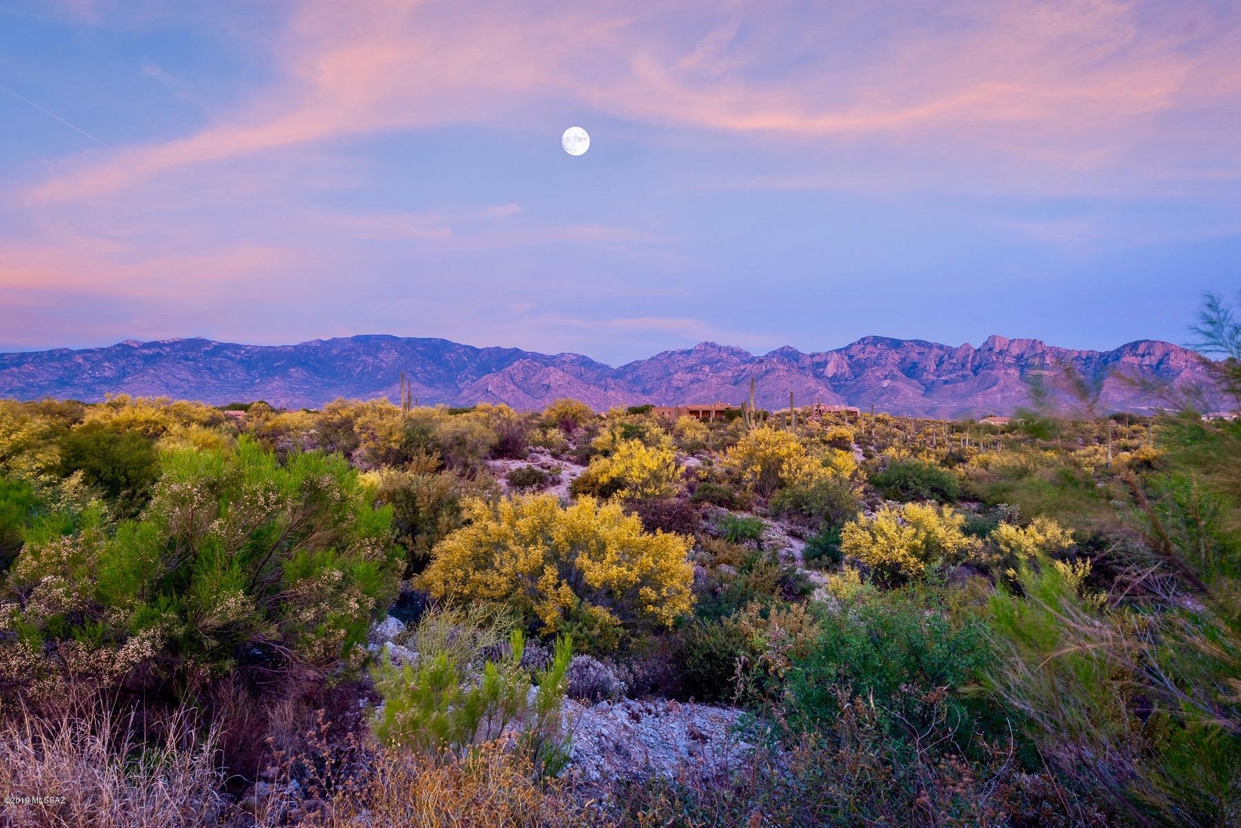 Stone Canyon VII (404-485) - Land