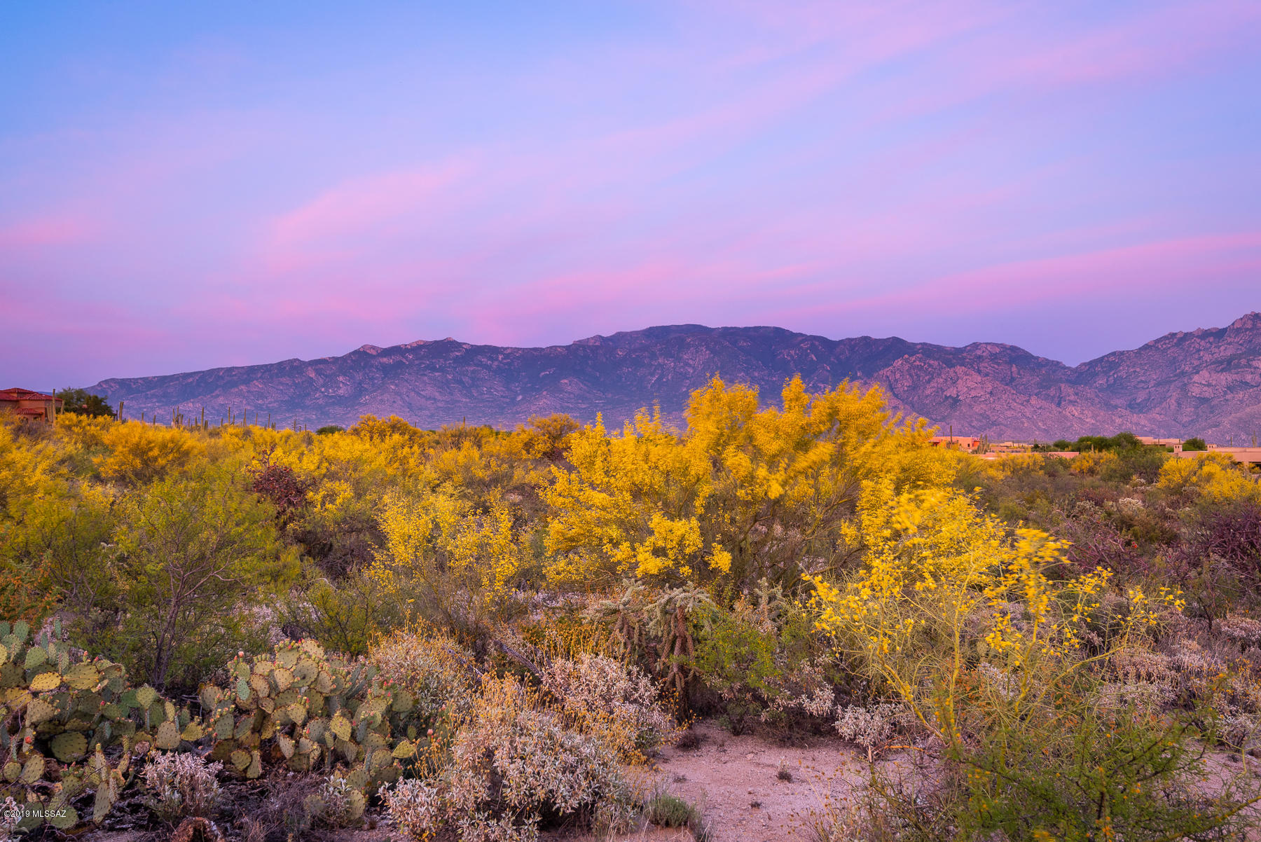 Stone Canyon VII (404-485) - Land