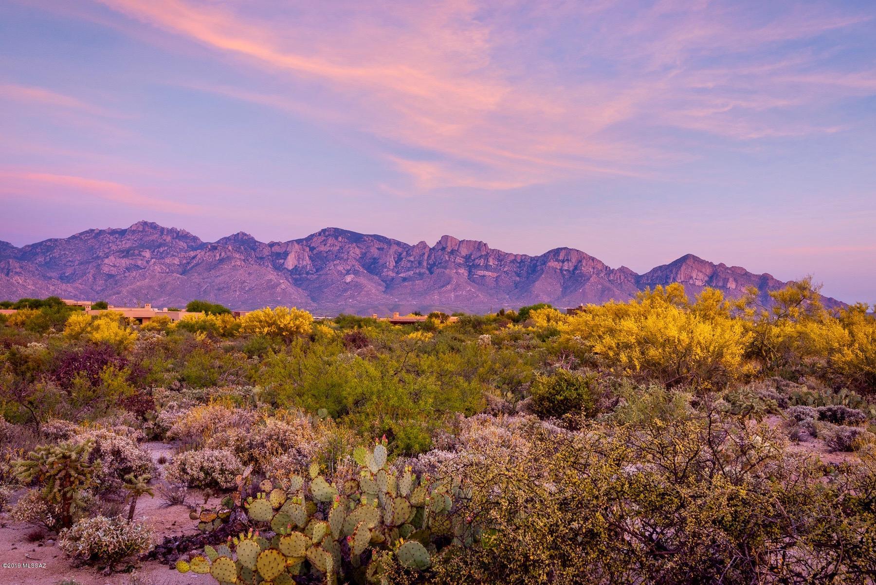 STUNNING CATALINA & TORTOLITA MOUNTAIN VIEWS   ~ CHOOSE YOUR BUILDER ~   LOCATED WITHIN THE GATES OF STONE CANYON, ARIZONA'S FINEST PRIVATE GOLF COMMUNITY.  JAW DROPPING PINK MOUNTAIN SUNSETS. LARGE EASY BUILD FLAT LOT FILLED W/ LUSH DESERT VEGETATION & LARGE SAGUARO CACTI.   ~ PICTURESQUE CATALINA MOUNTAIN SUNSET VIEWS ~   OUTSTANDING COMMUNITY AMENITIES: 19 HOLE CHAMPIONSHIP COURSE, CLUBHOUSE, HEALTH & FITNESS CENTER, TENNIS COURTS, FAMILY & 80' LAP POOL & MORE! RANKED AMONG BEST RESIDENTIAL GOLF COURSES BY GOLFWEEK