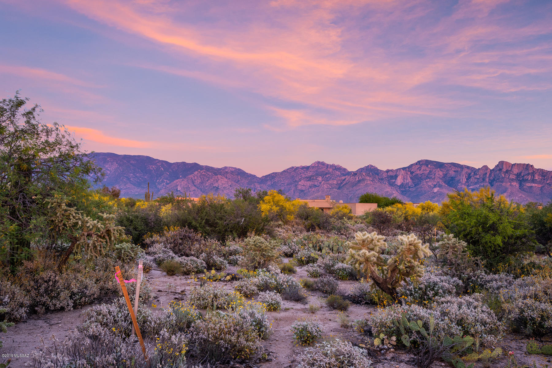 Stone Canyon VII (404-485) - Land
