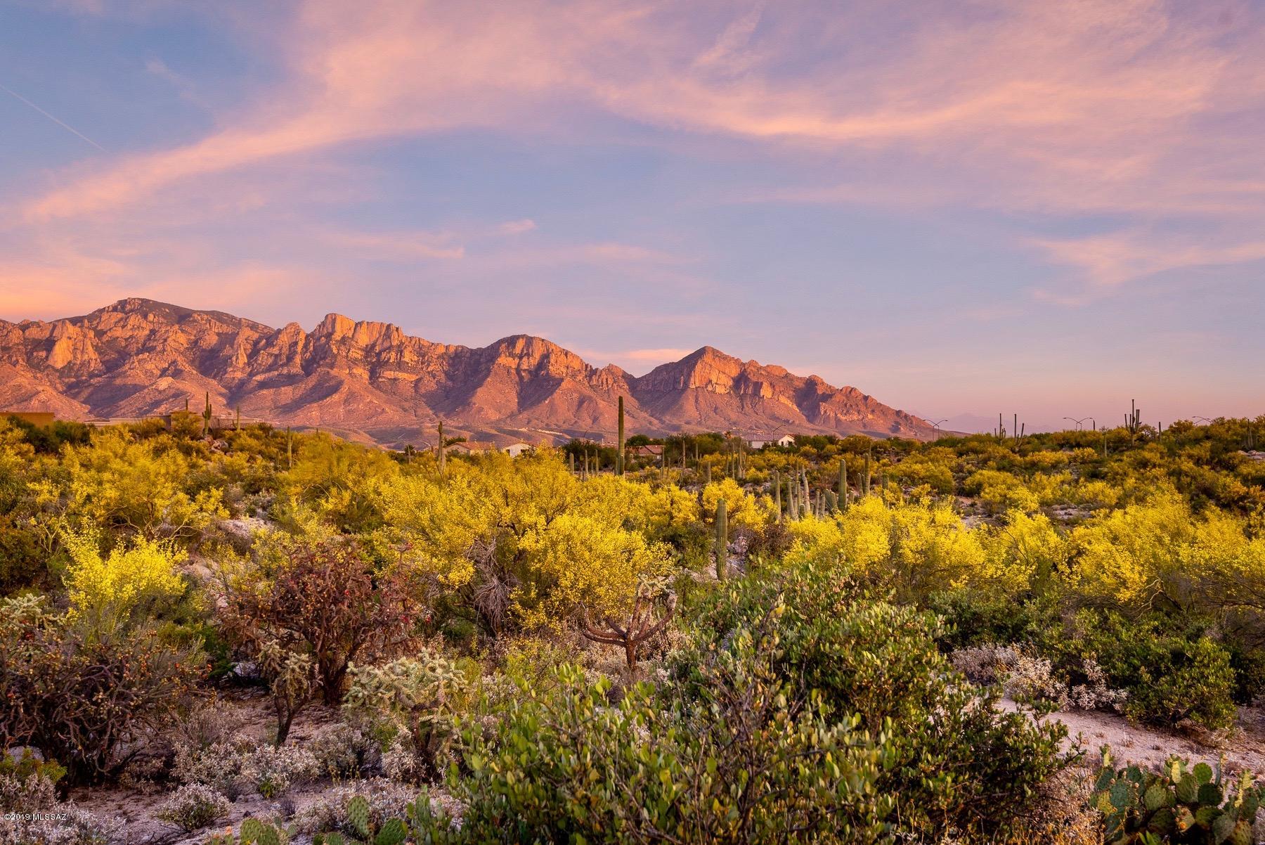 Stone Canyon VII (404-485) - Land