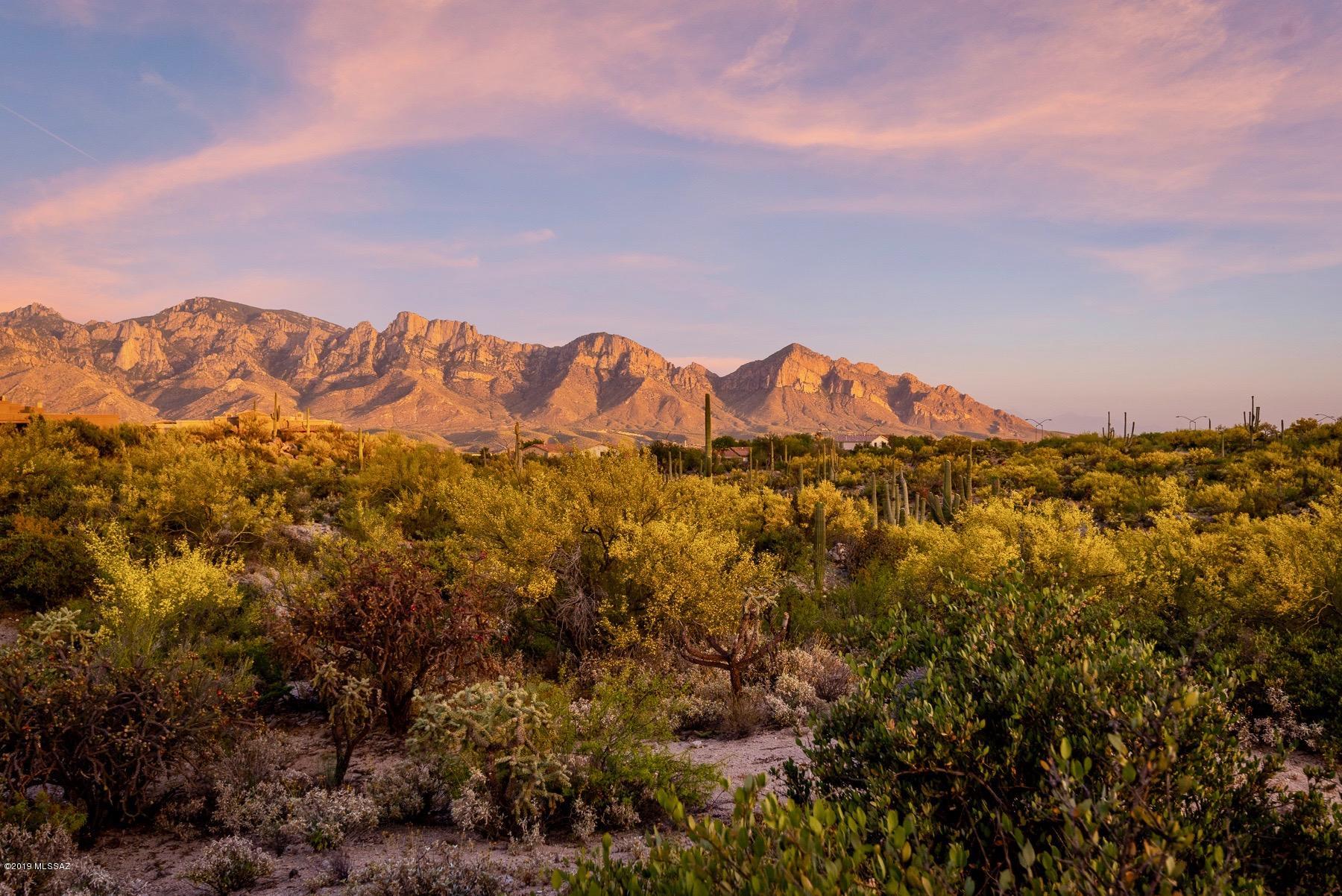 Stone Canyon VII (404-485) - Land