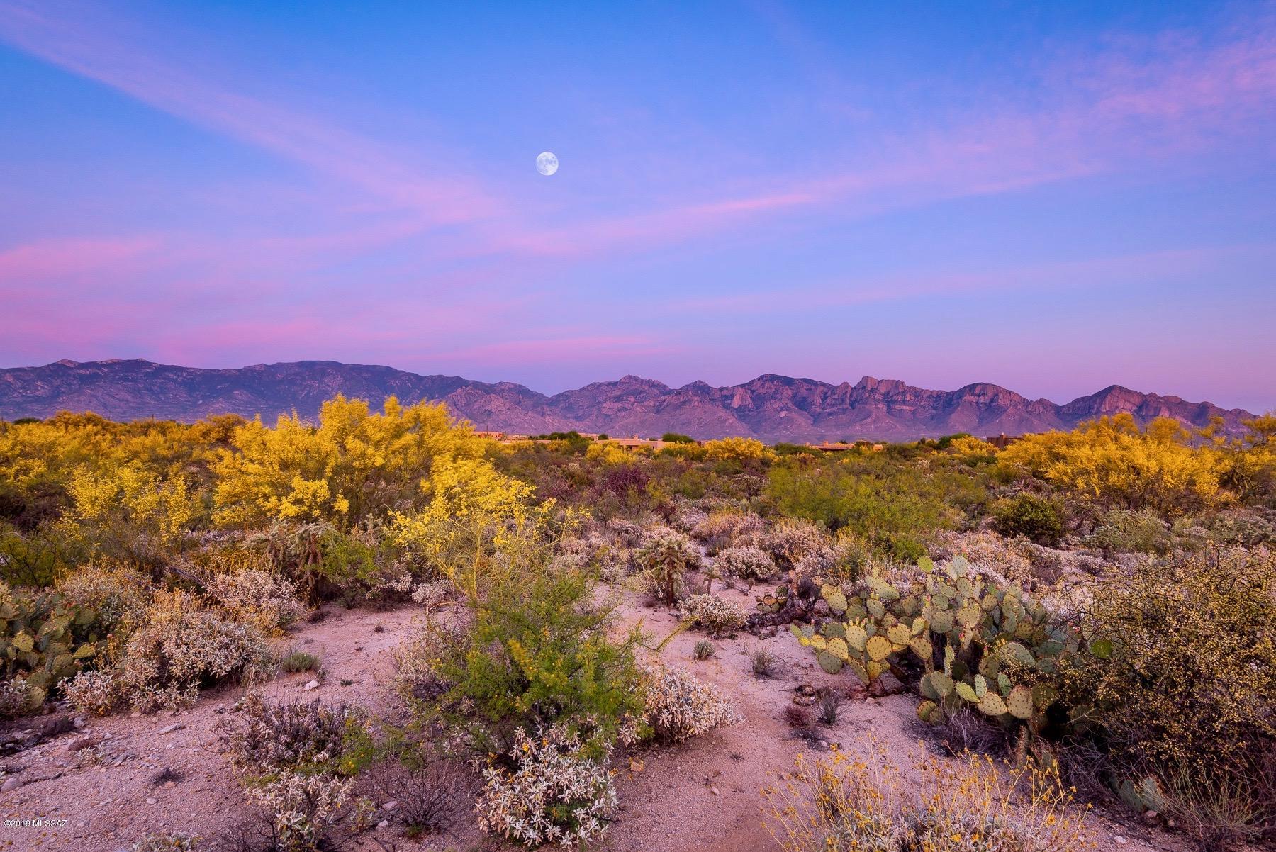 Stone Canyon VII (404-485) - Land