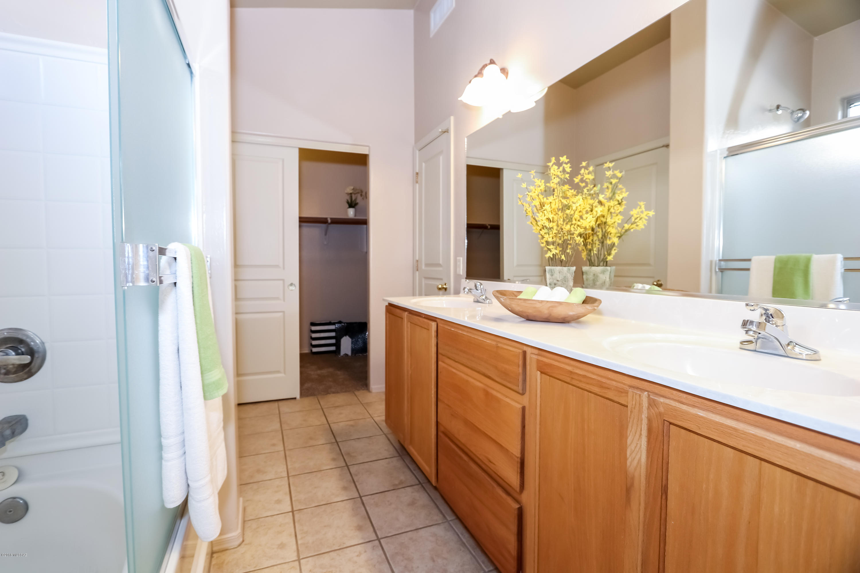 Cortaro Ranch (1-297) - Residential