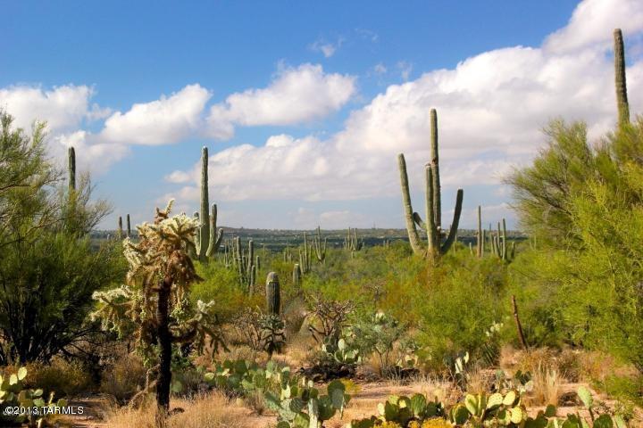 Only 2 Left ! New gated Community of Five spectacular pristine Sonoran Desert estate sized lots. Panoramic Mountain views of the Catalina and Rincon's sparkling city lights, abundant with giant saguaros, mesquite, barrel cacti and Palo Verde's. A Park like feeling in this one of a kind desert preserve. Easy to build, minutes to shopping, golf and endless hiking trails.