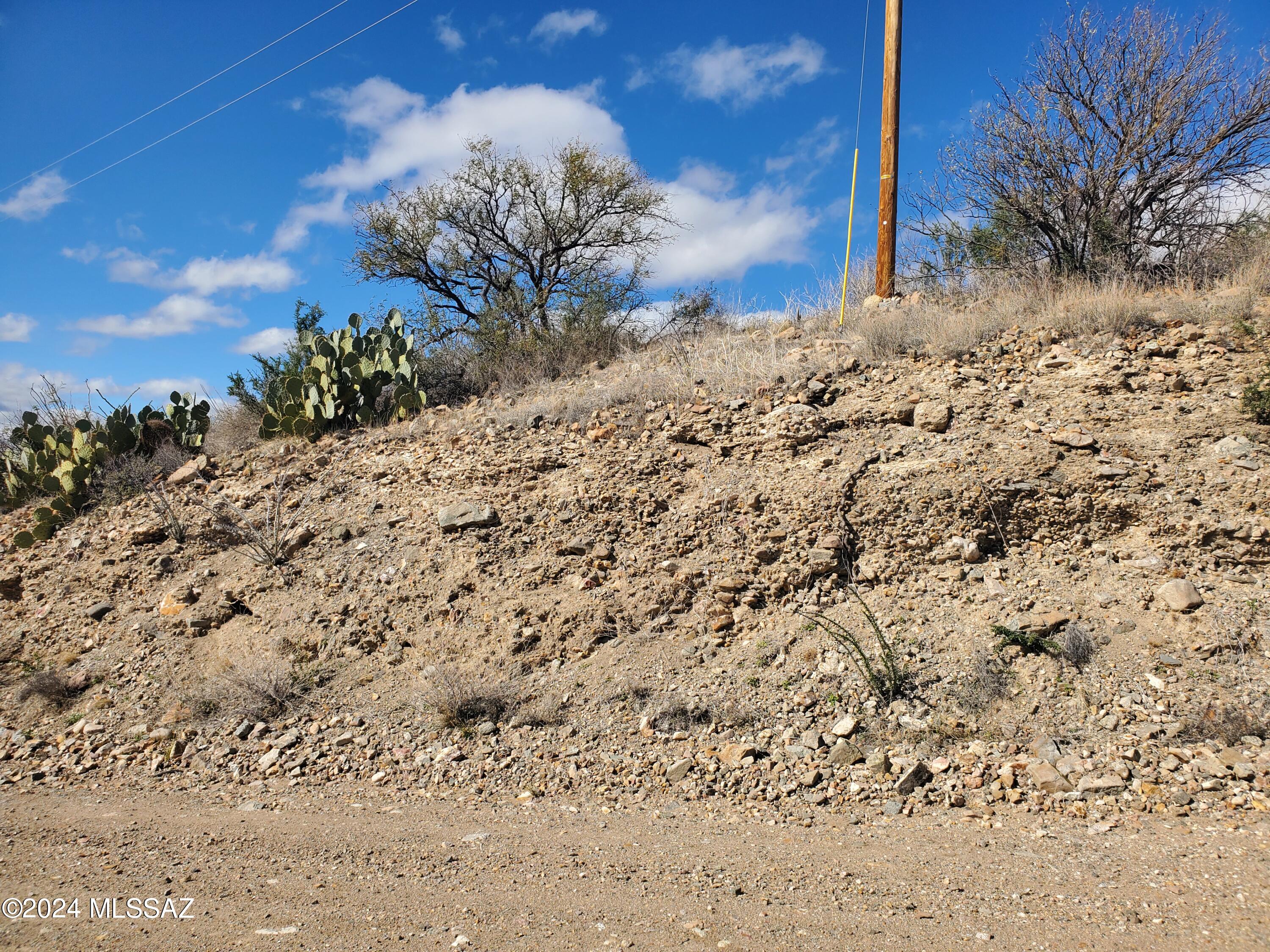 Rio Rico Ranchettes 4 - Land