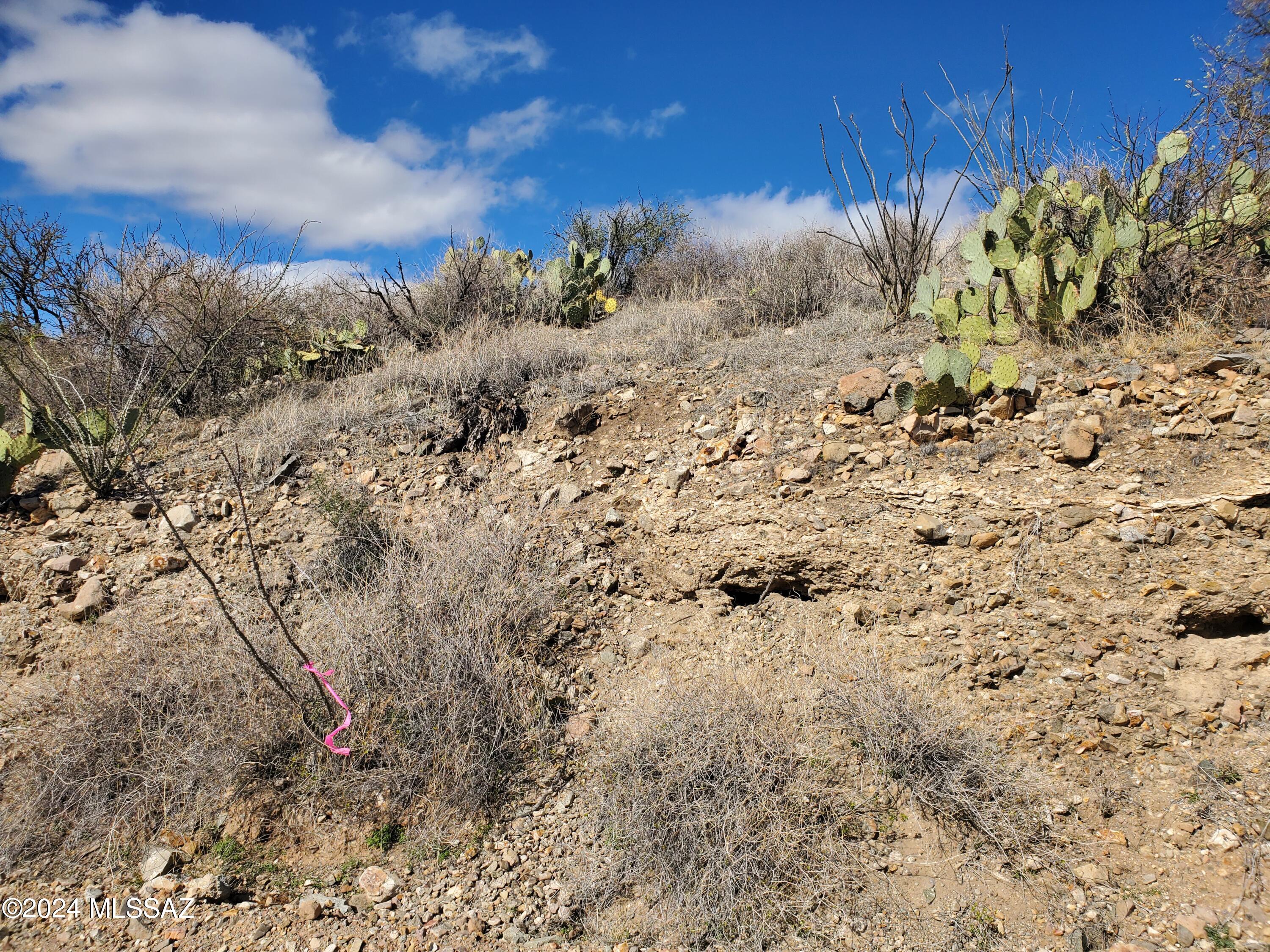 Rio Rico Ranchettes 4 - Land