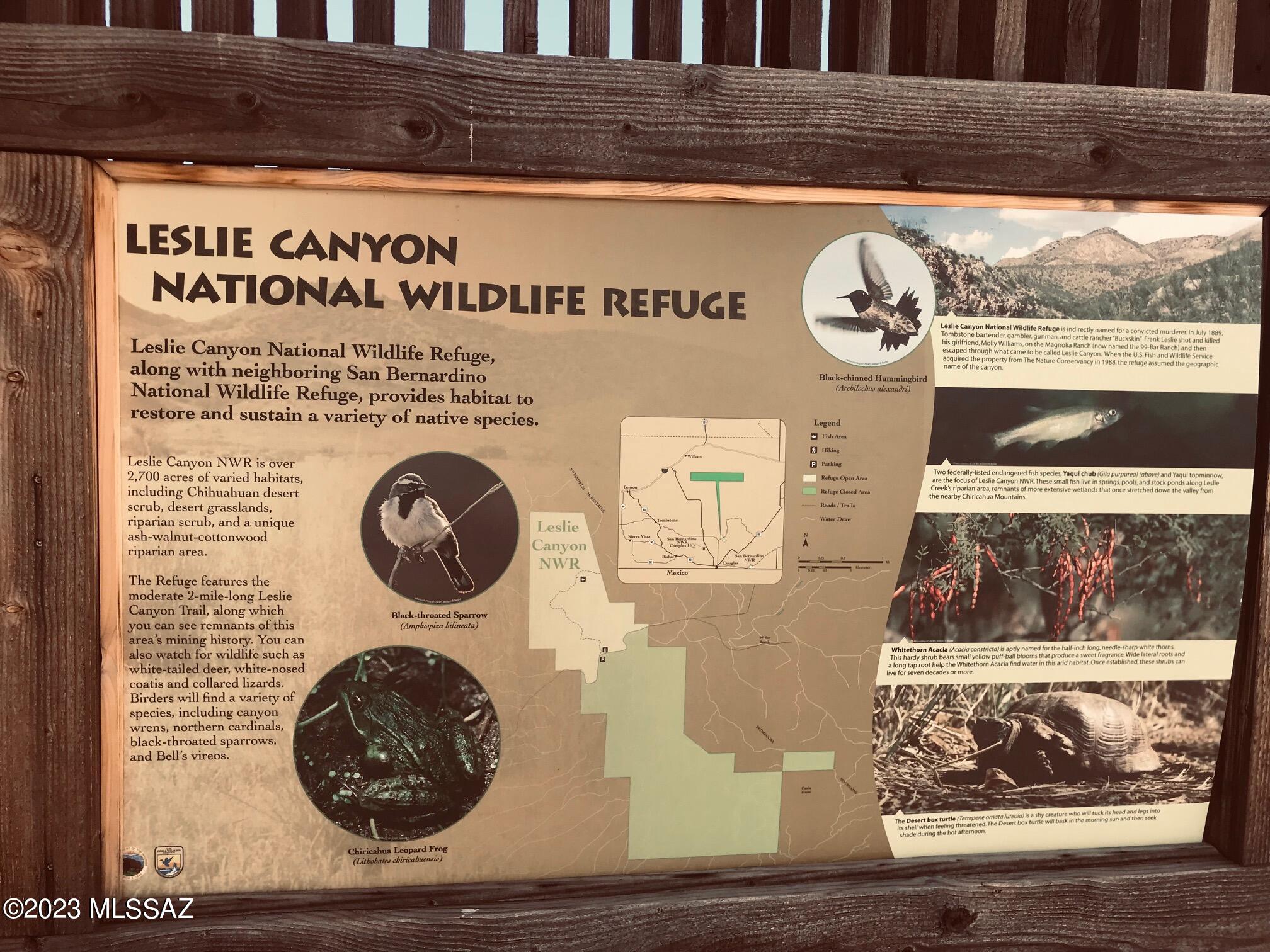 Out Of Pima County - Land